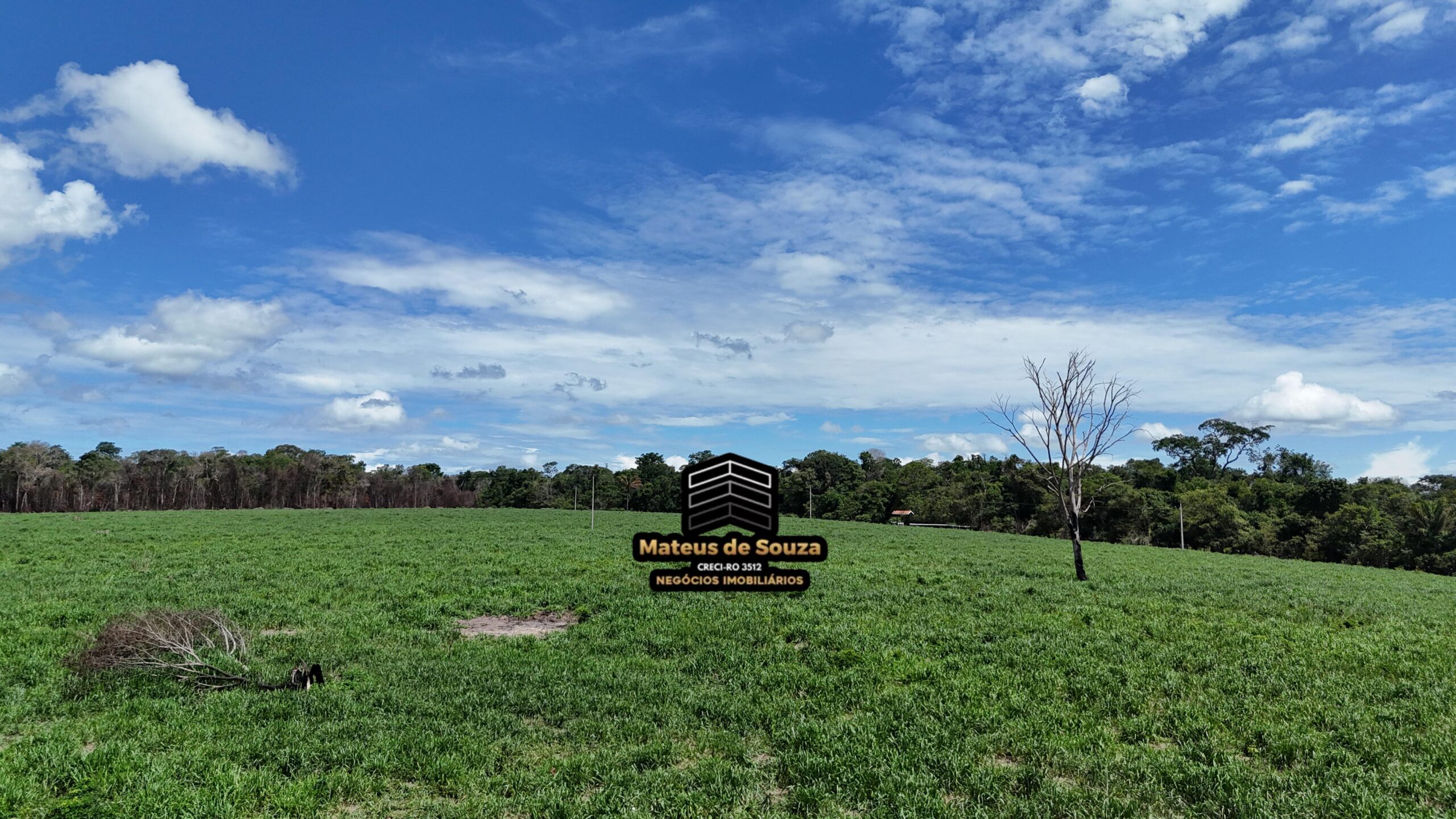 WhatsApp Image 2026-02-21 at 20.43.25 (2)