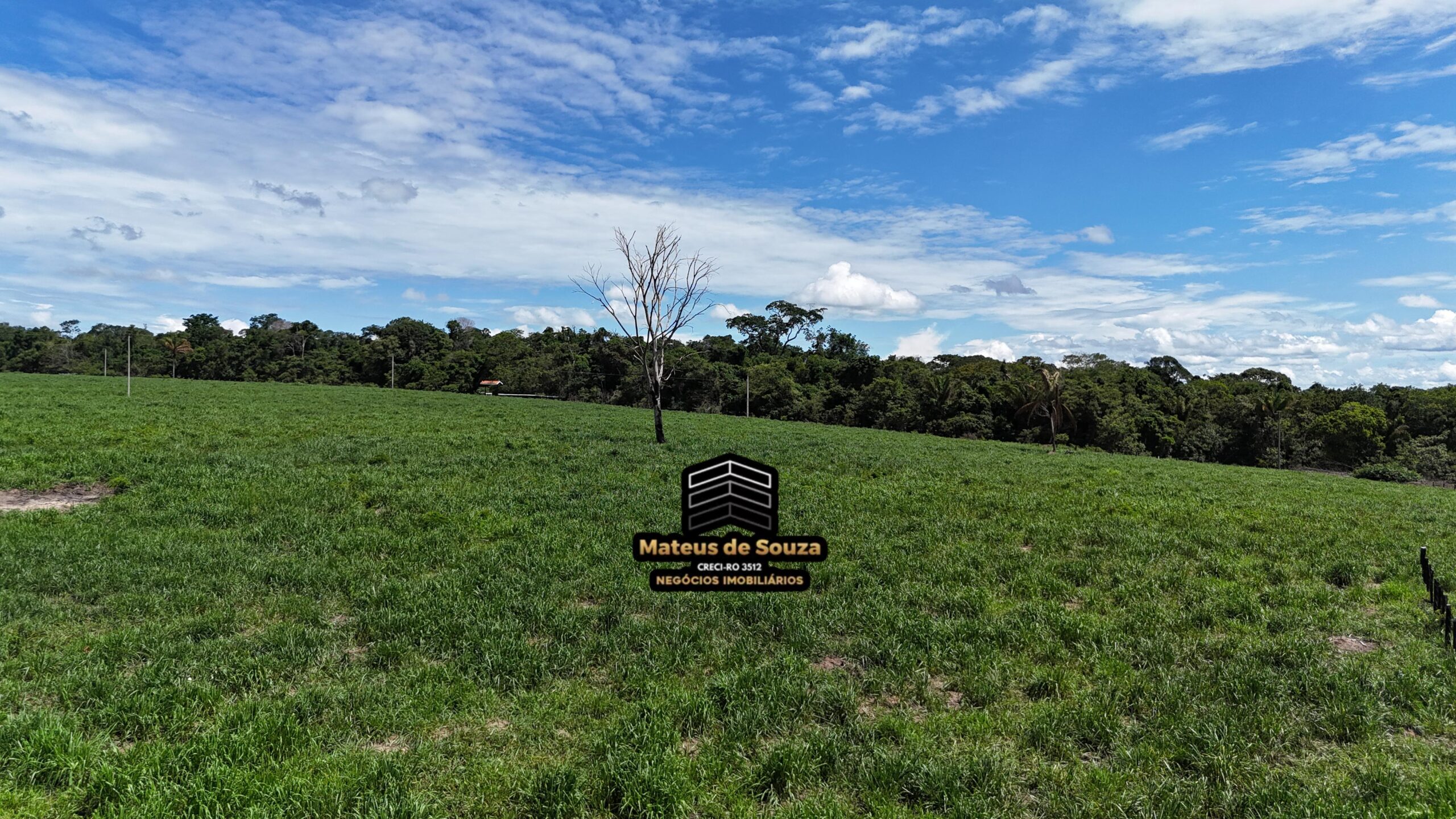 WhatsApp Image 2026-02-21 at 20.43.25