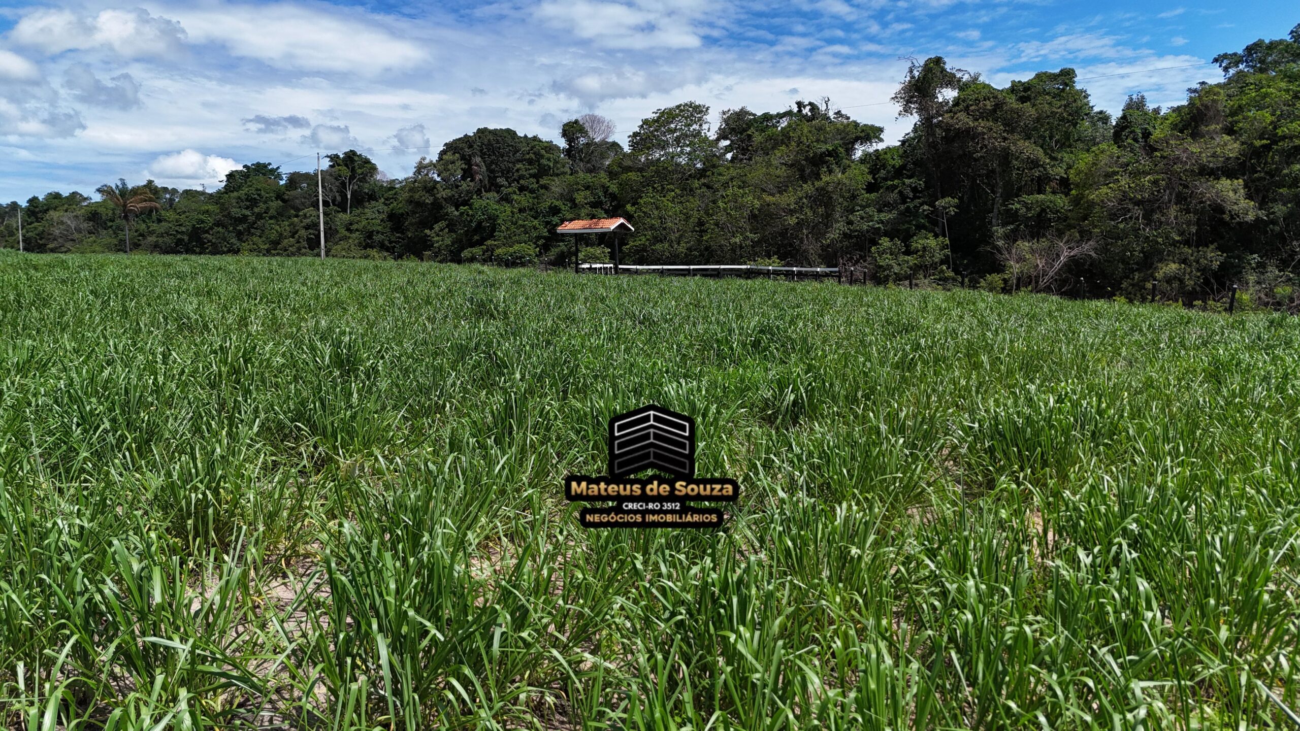 WhatsApp Image 2026-02-21 at 20.43.26 (1)