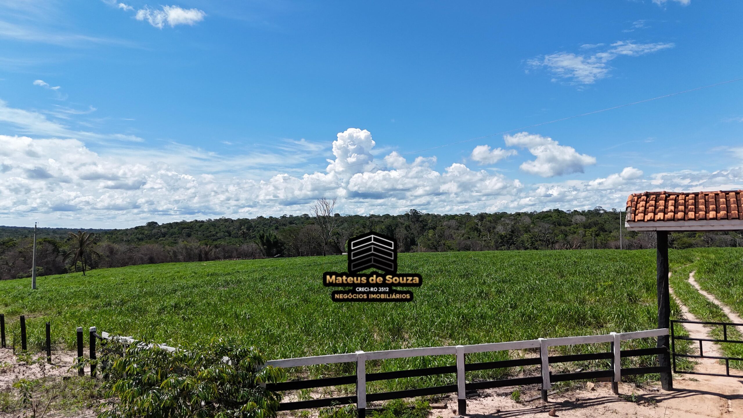 WhatsApp Image 2026-02-21 at 20.43.26 (2)