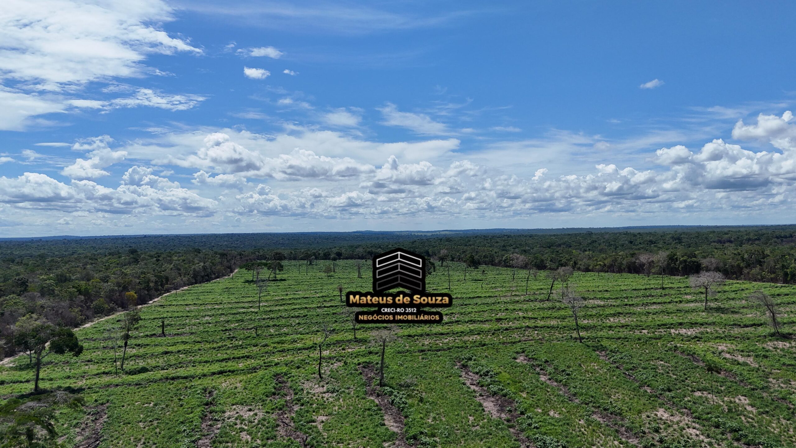 WhatsApp Image 2026-02-21 at 20.43.26