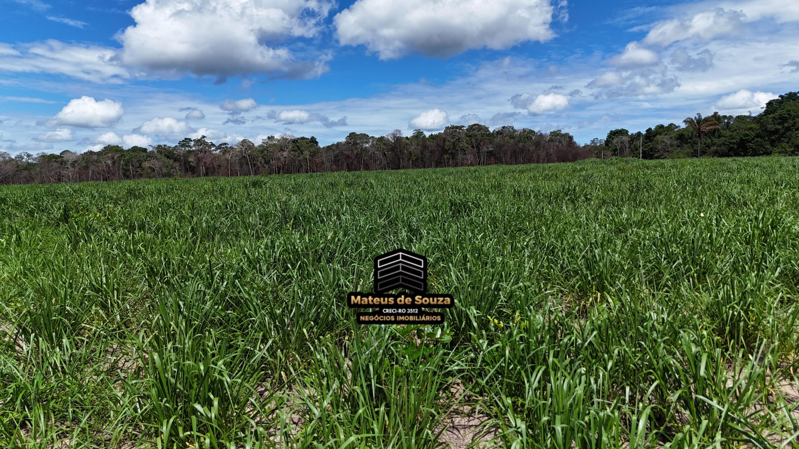 WhatsApp Image 2026-02-21 at 20.43.27 (1)