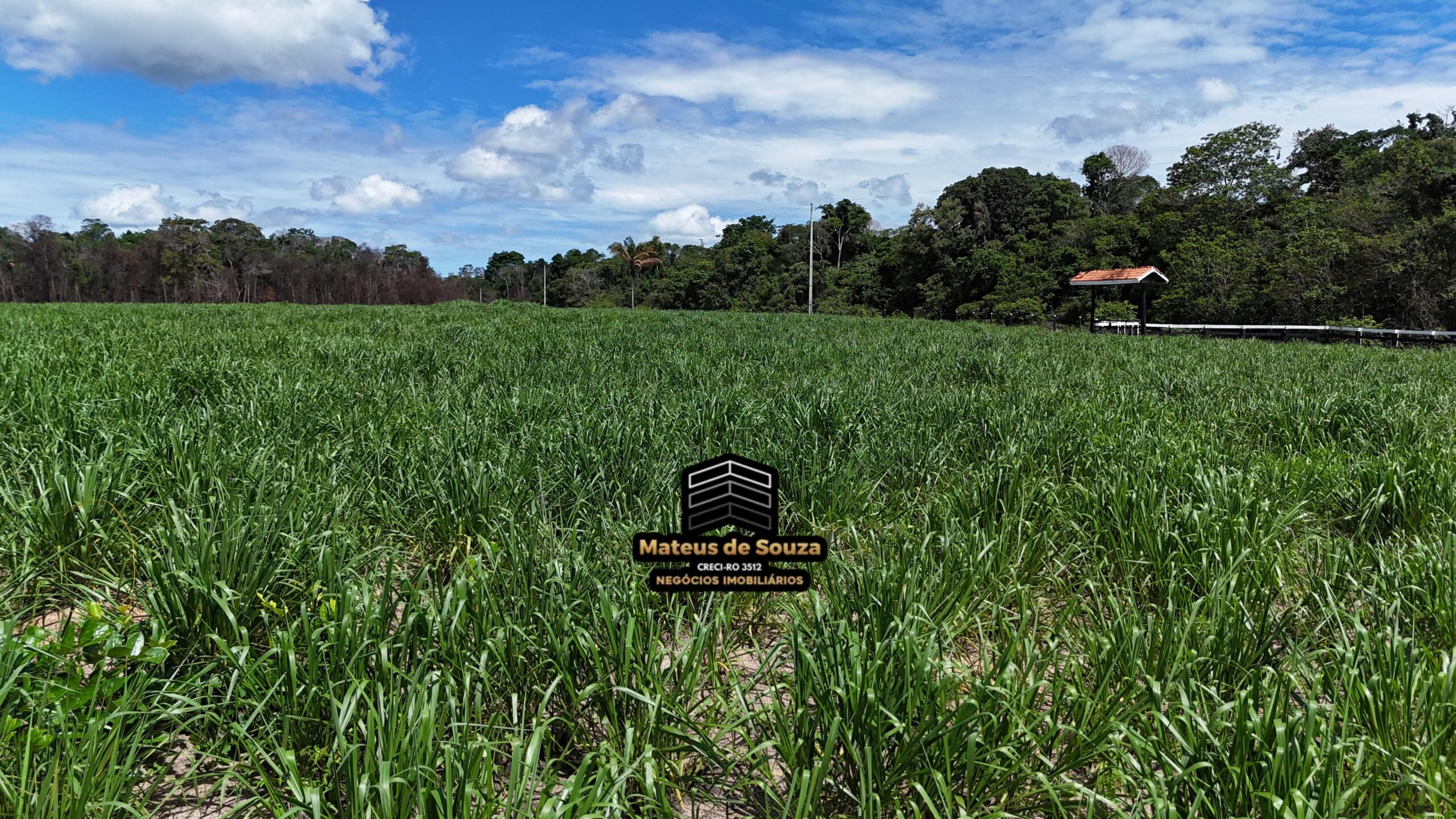 WhatsApp Image 2026-02-21 at 20.43.28 (1)