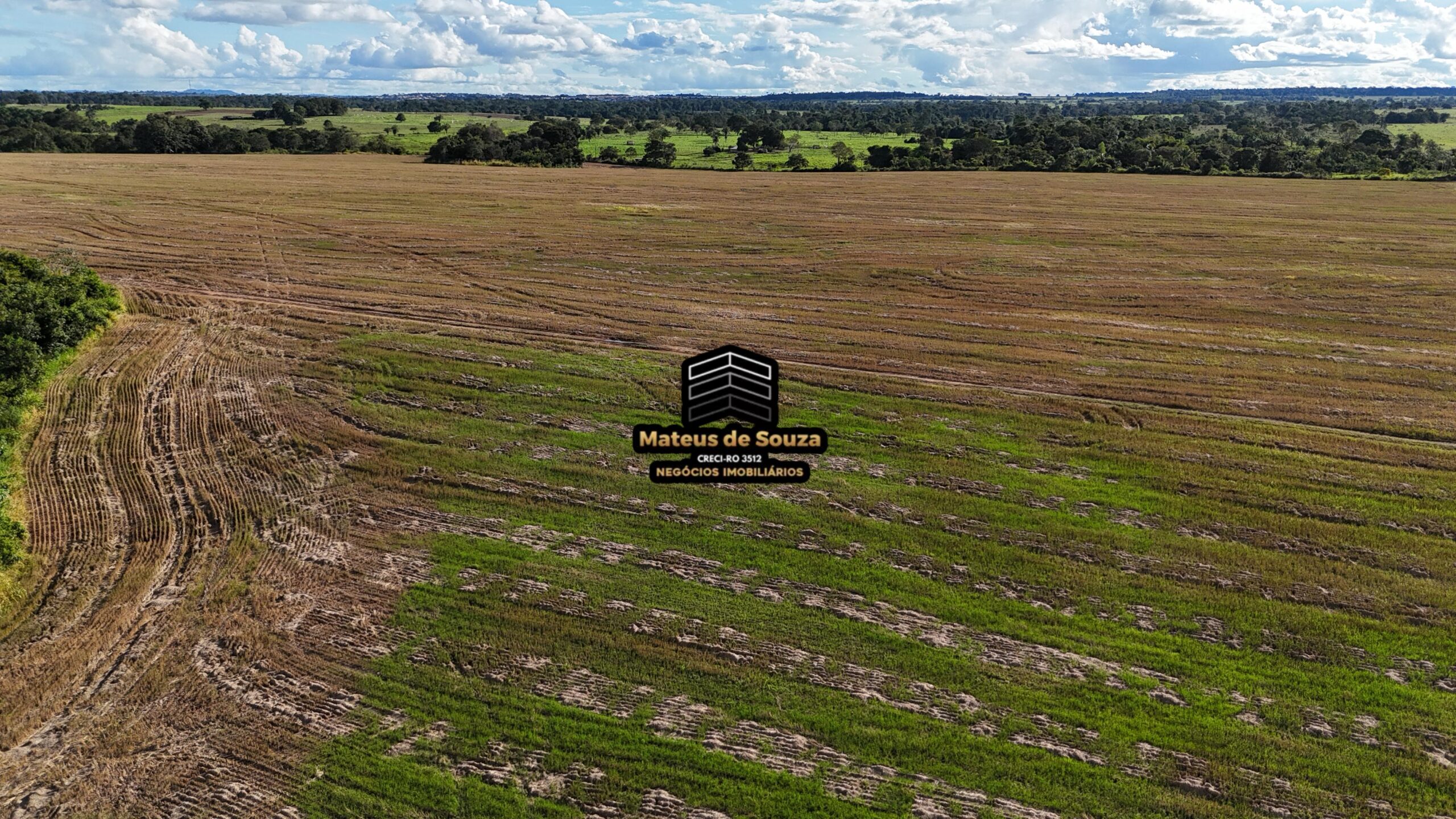 WhatsApp Image 2026-02-21 at 20.43.47 (1)