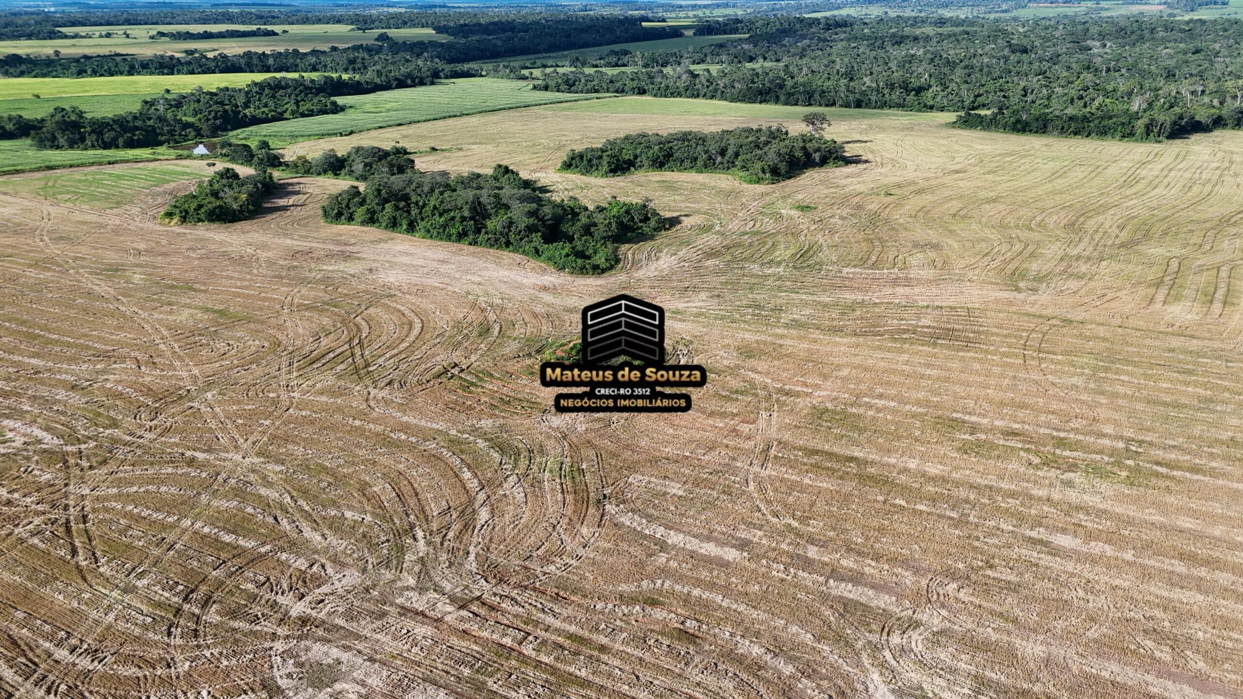 WhatsApp Image 2026-02-21 at 20.43.47 (2)