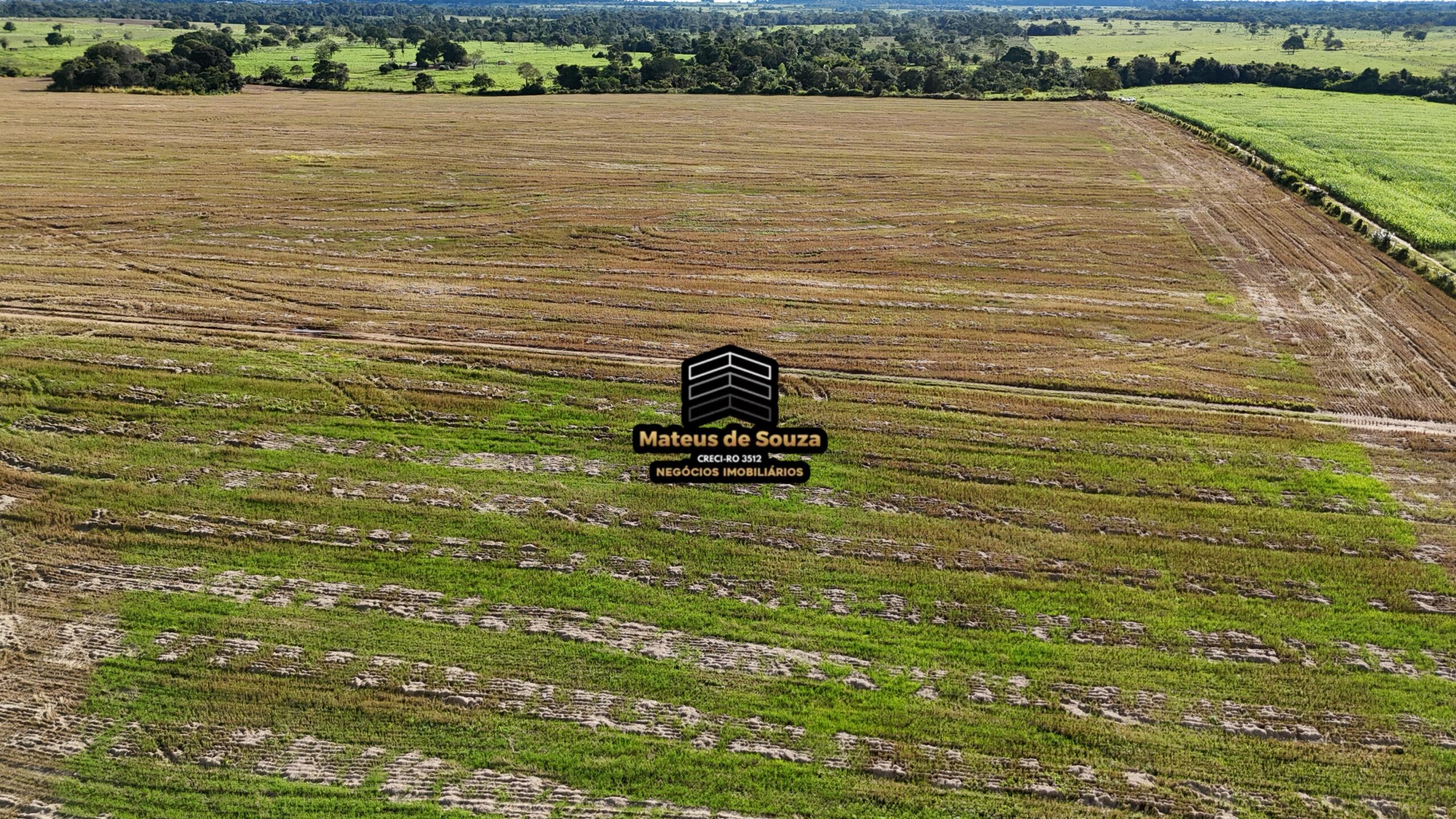 WhatsApp Image 2026-02-21 at 20.43.47