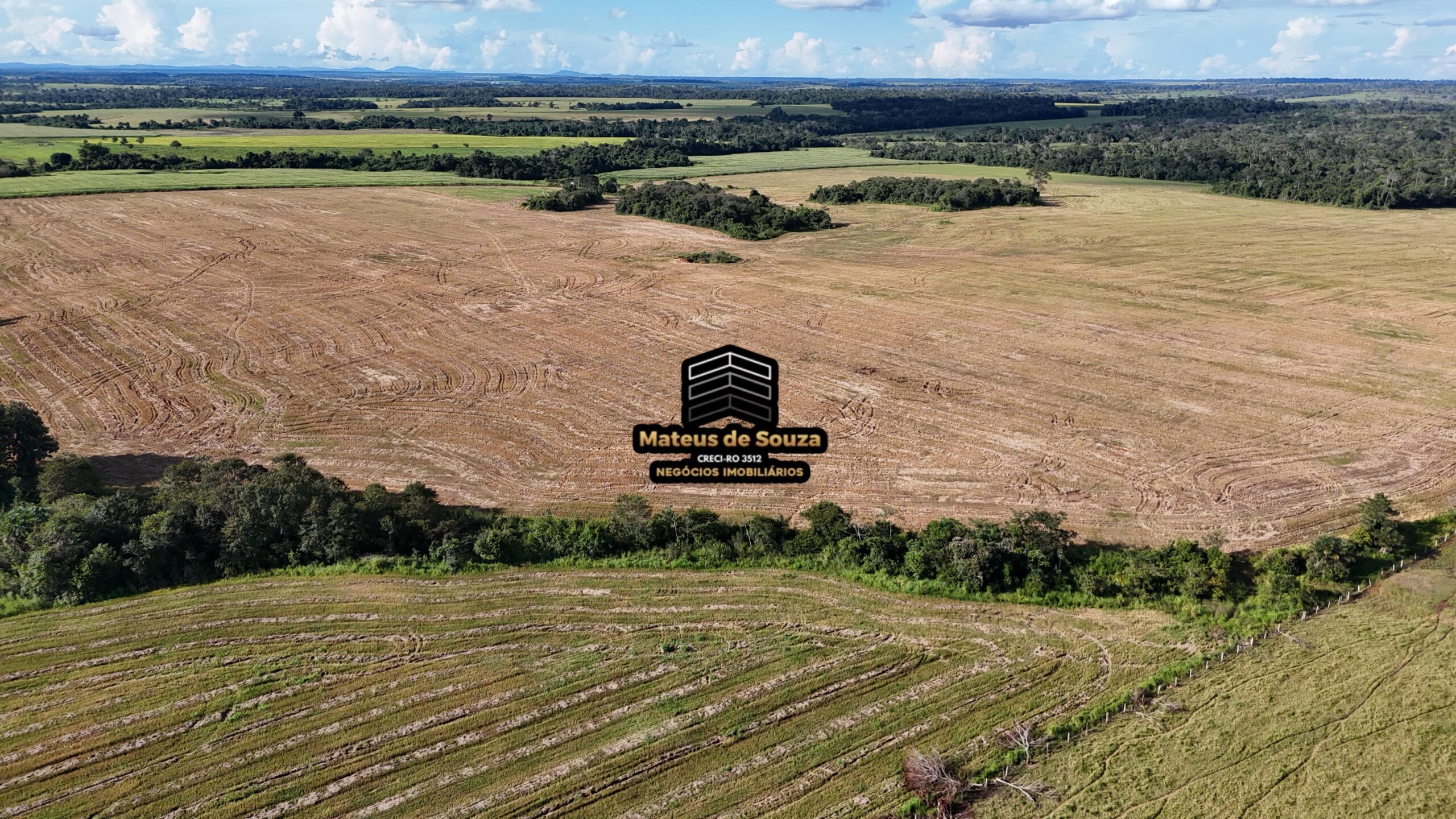 WhatsApp Image 2026-02-21 at 20.43.48 (1)