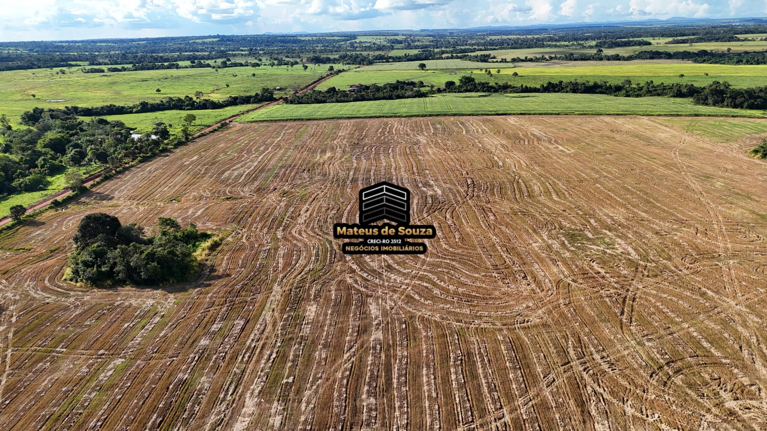 WhatsApp Image 2026-02-21 at 20.43.48