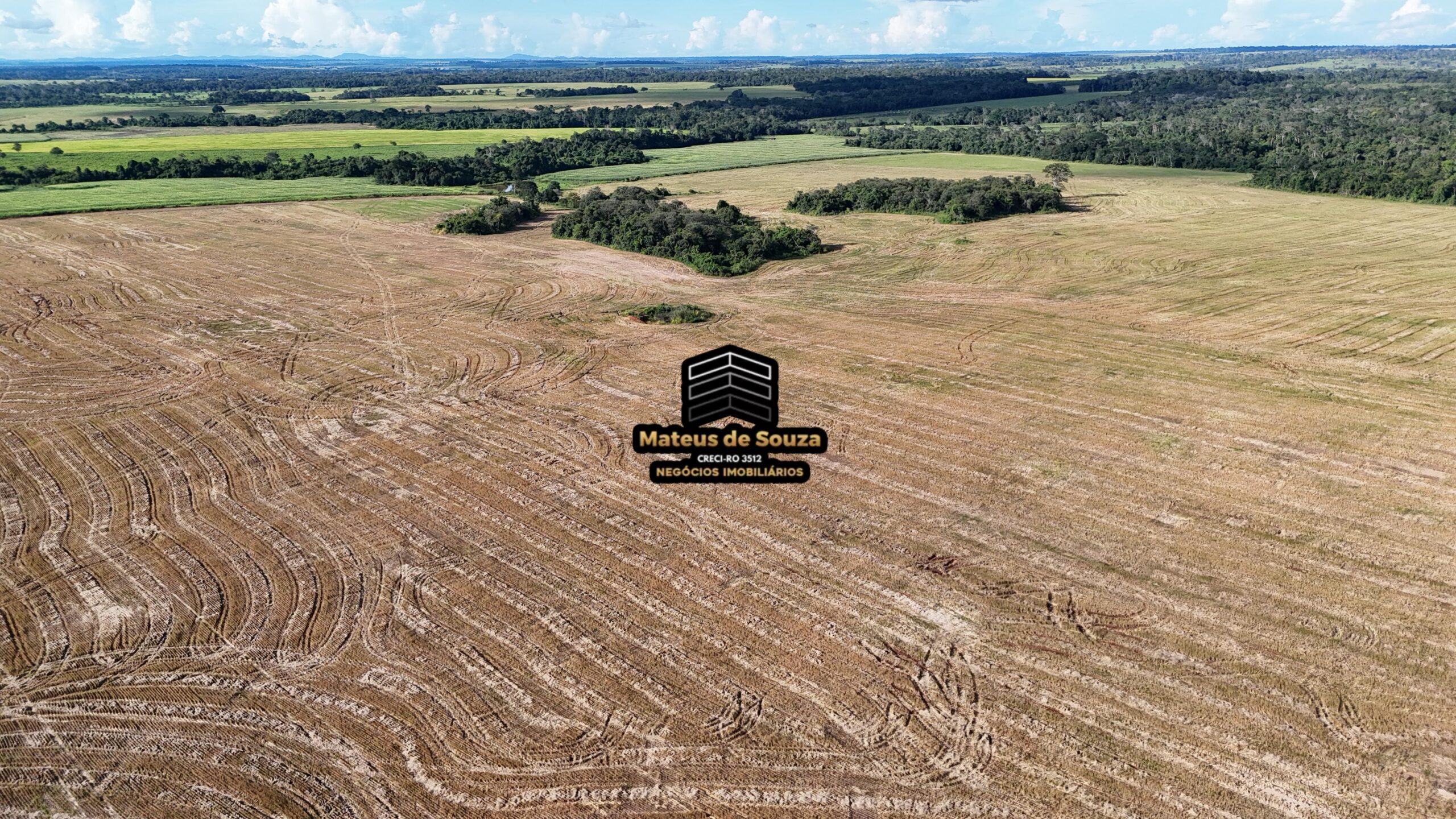 WhatsApp Image 2026-02-21 at 20.43.49 (1)