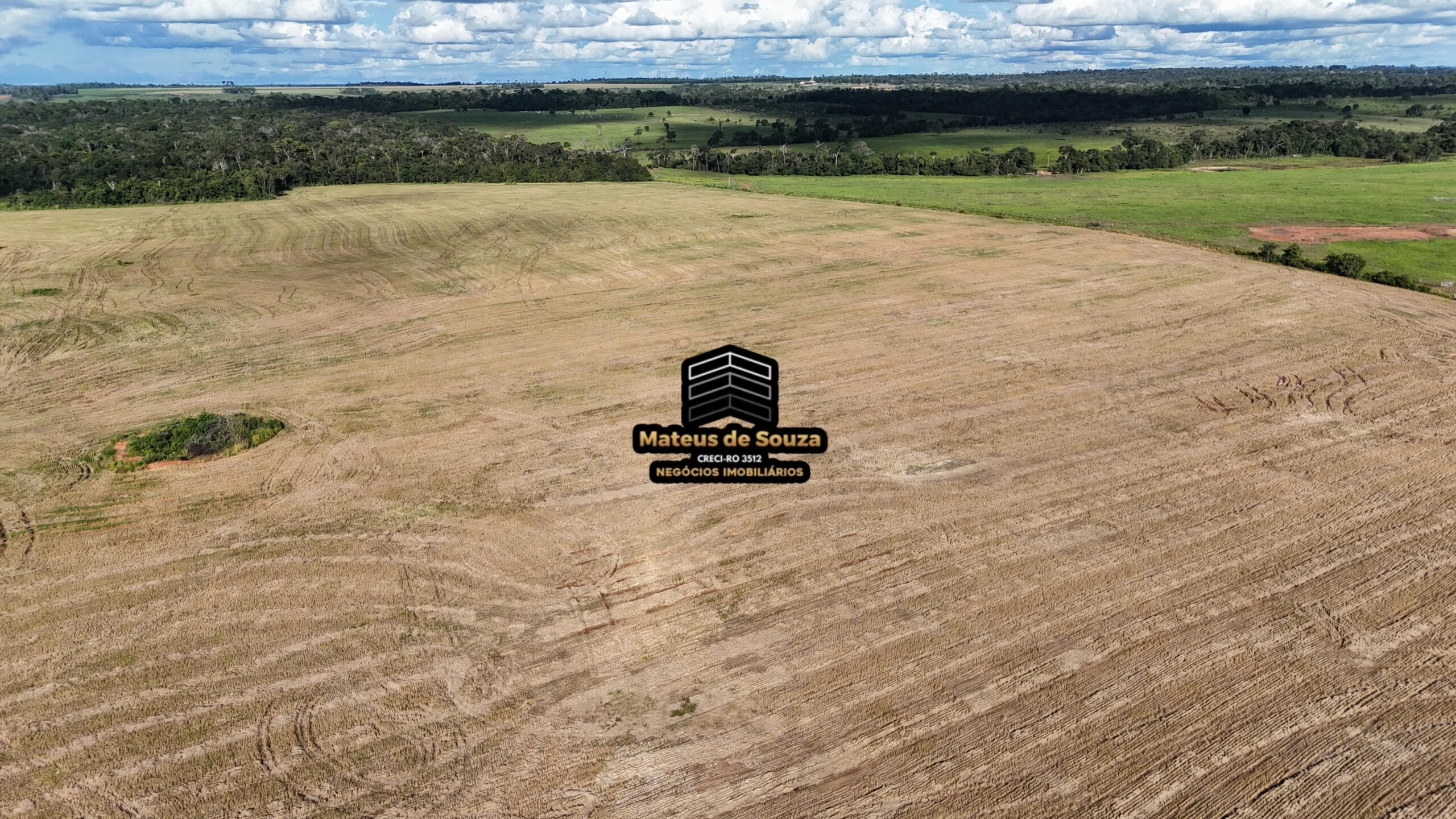 WhatsApp Image 2026-02-21 at 20.43.49 (2)