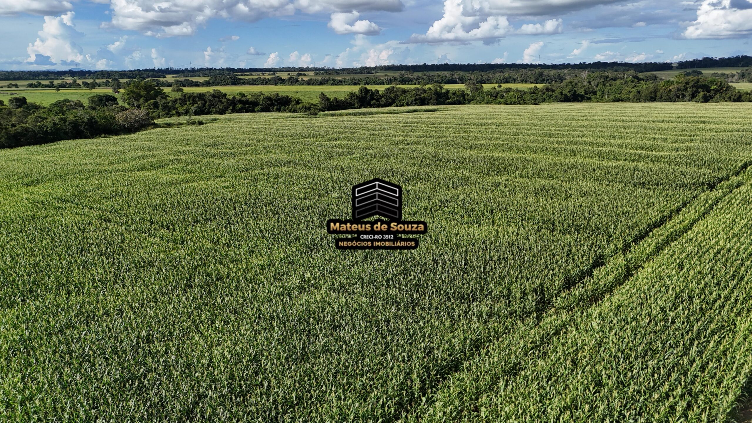 WhatsApp Image 2026-02-21 at 20.43.50 (1)