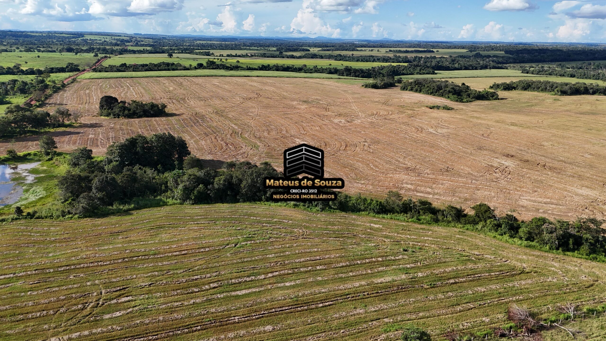 WhatsApp Image 2026-02-21 at 20.43.51 (1)