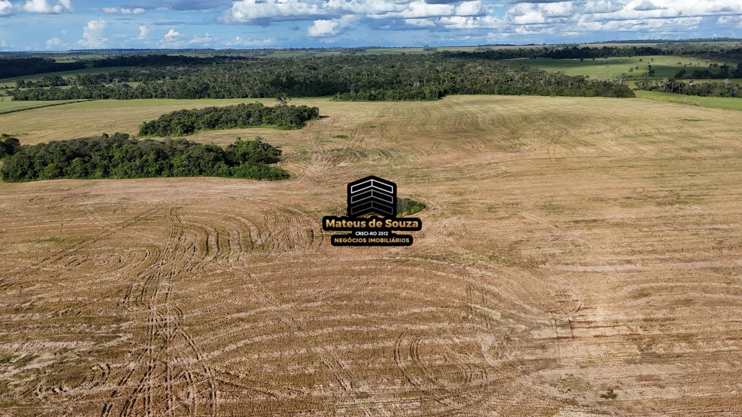 WhatsApp Image 2026-02-21 at 20.43.51 (2)