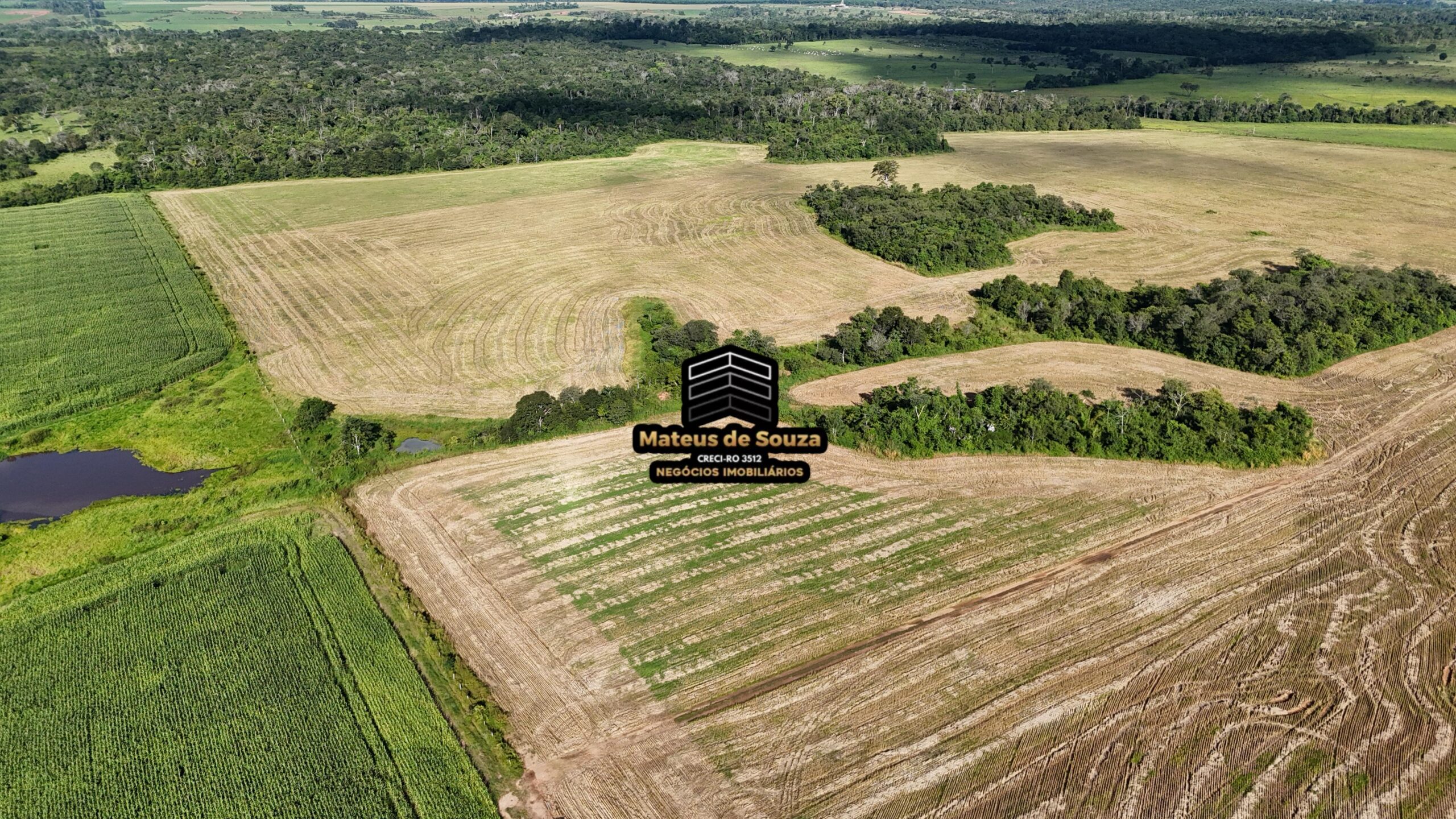 WhatsApp Image 2026-02-21 at 20.43.51