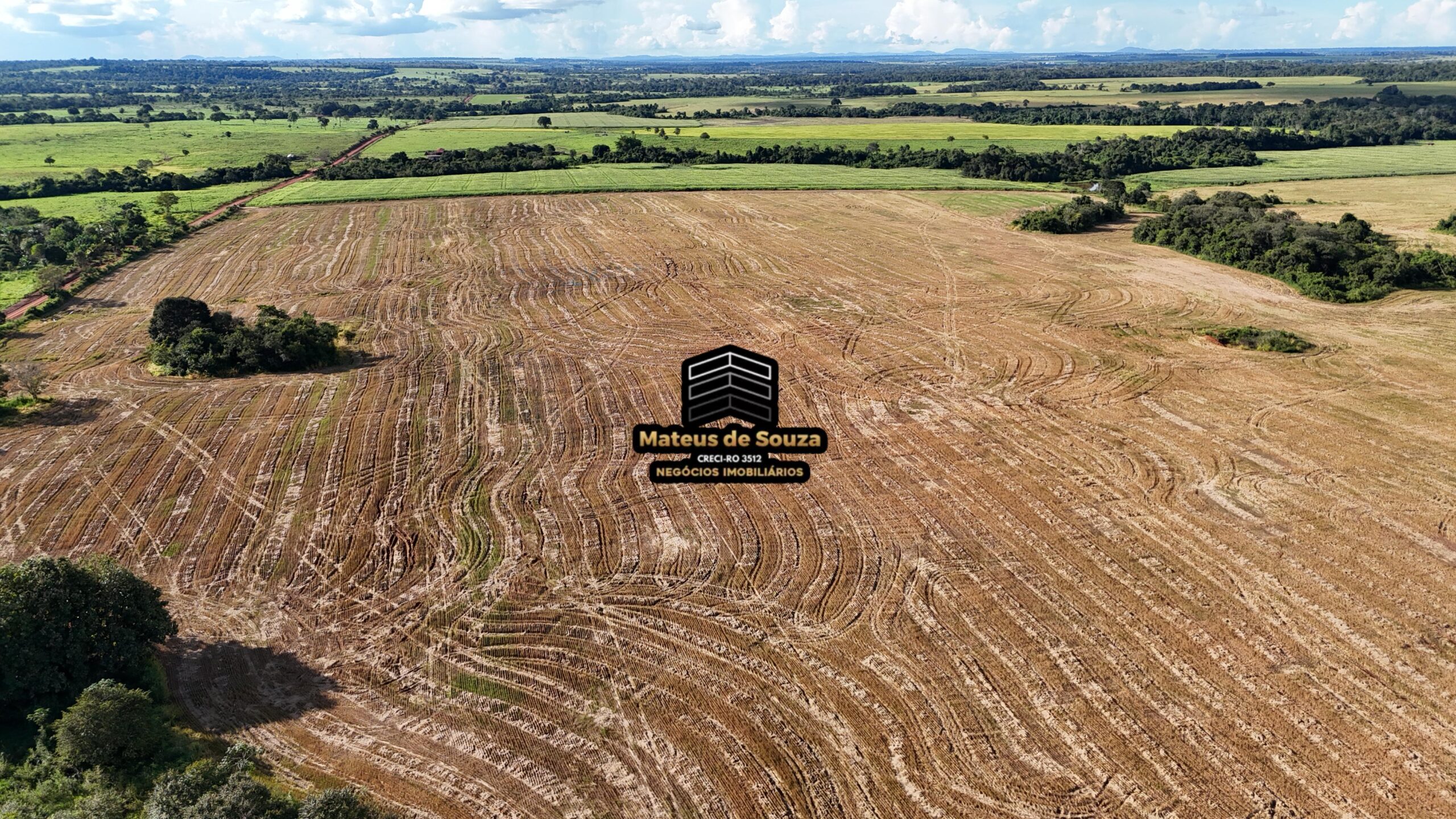 WhatsApp Image 2026-02-21 at 20.43.52