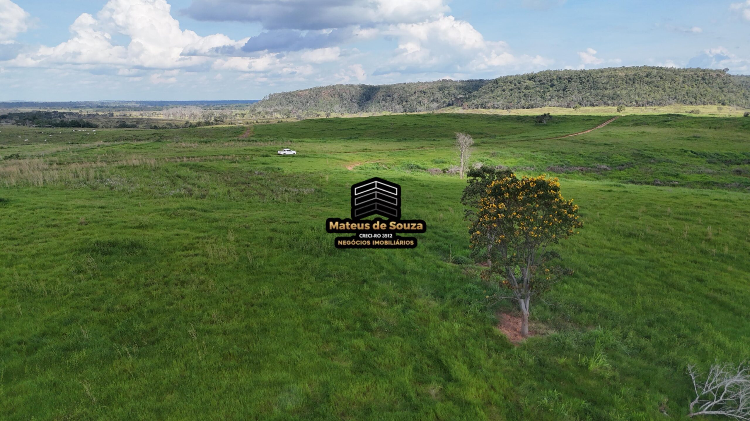 WhatsApp Image 2026-02-21 at 20.44.06