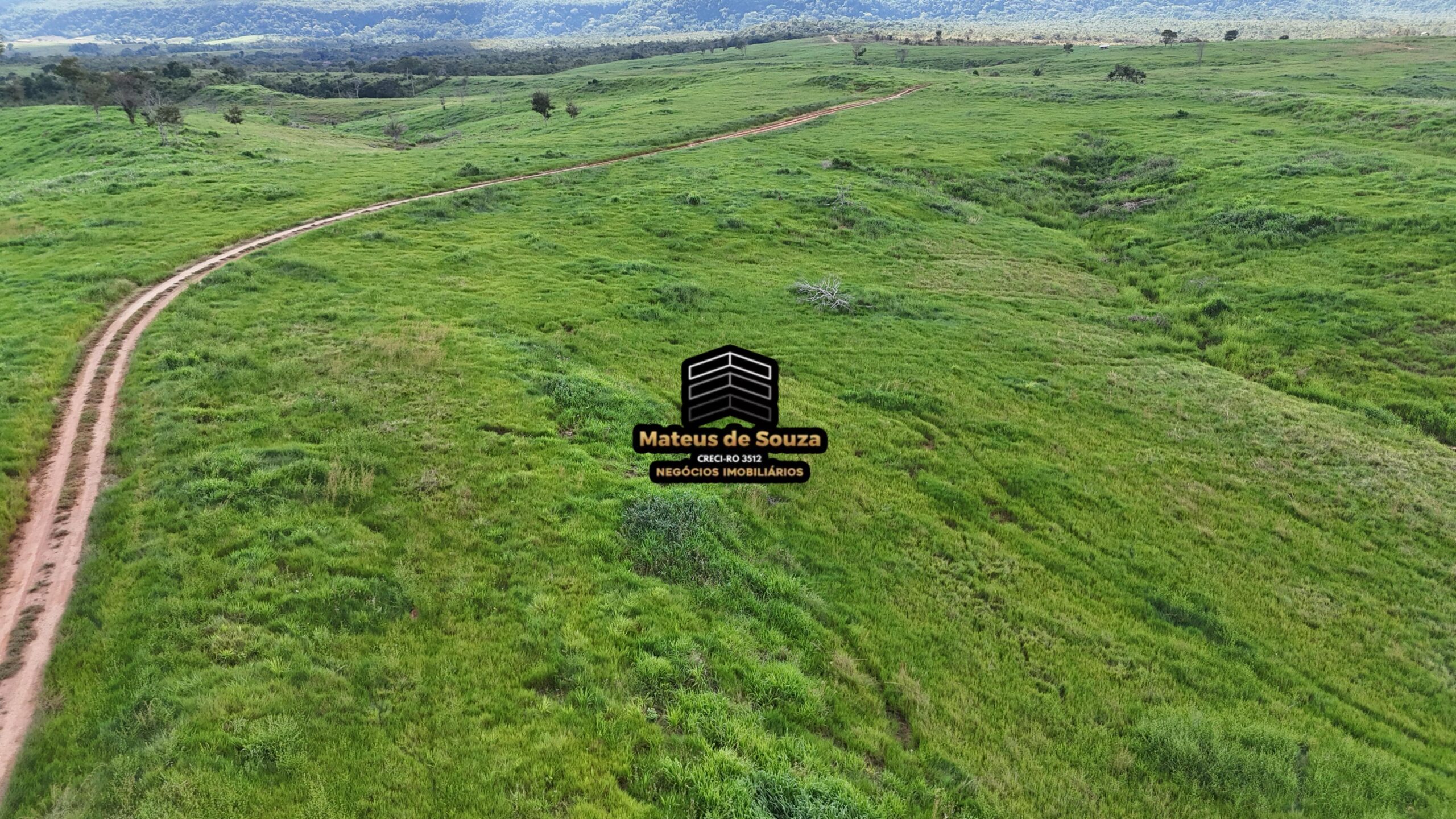 WhatsApp Image 2026-02-21 at 20.44.08