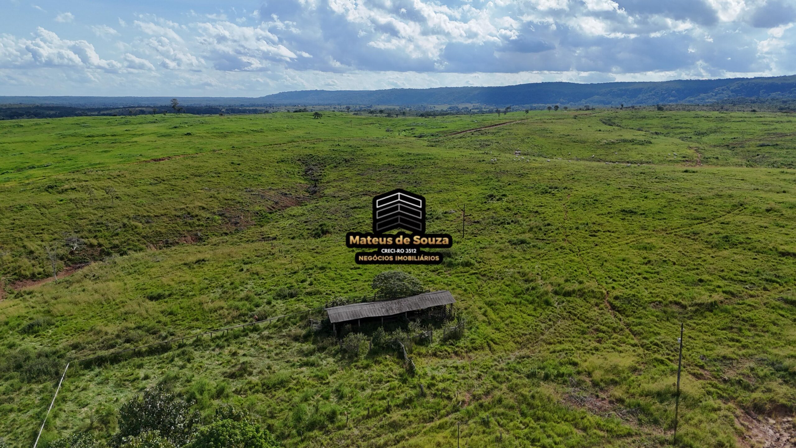 WhatsApp Image 2026-02-21 at 20.44.11 (1)