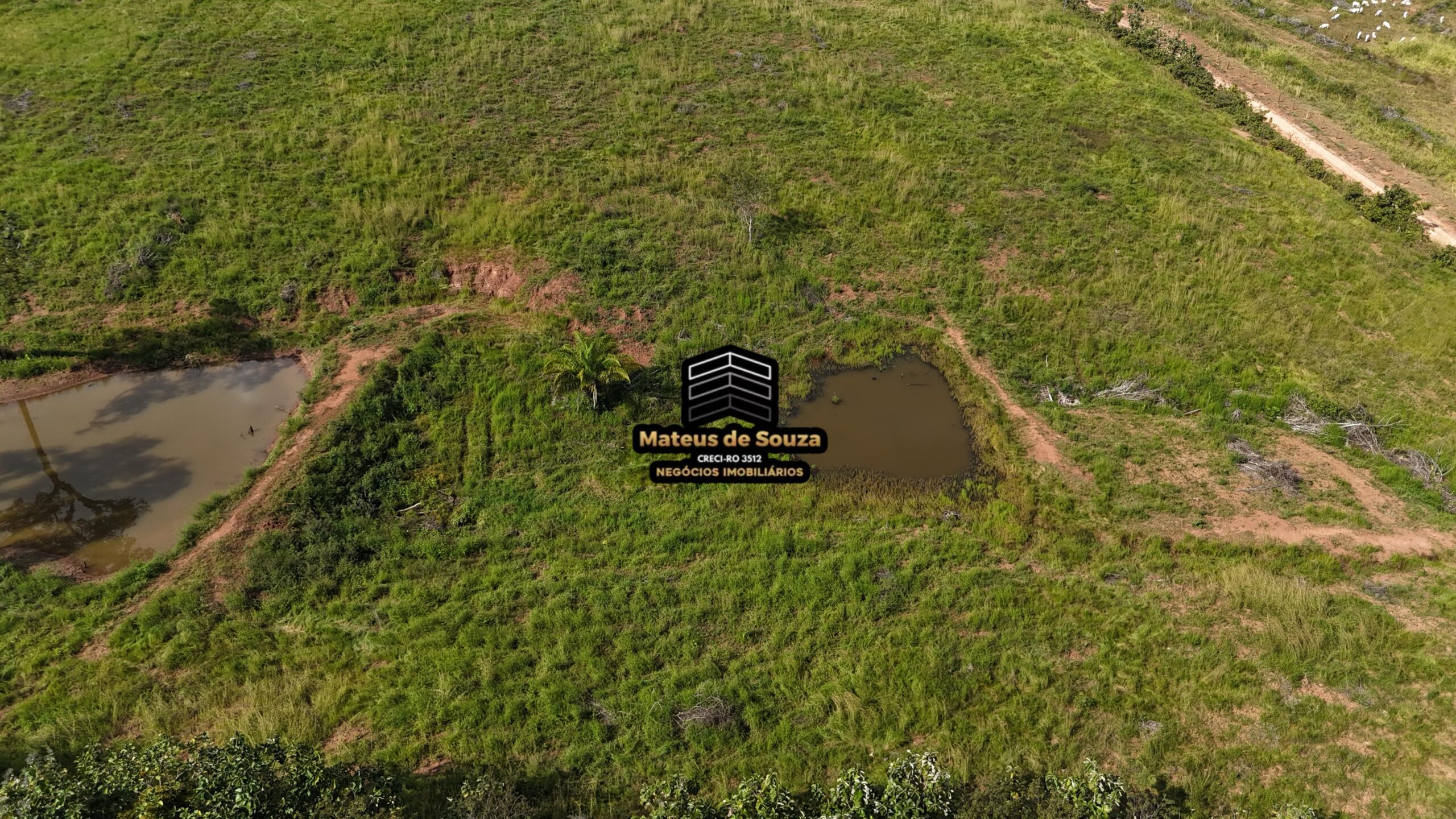 WhatsApp Image 2026-02-21 at 20.44.16 (1)