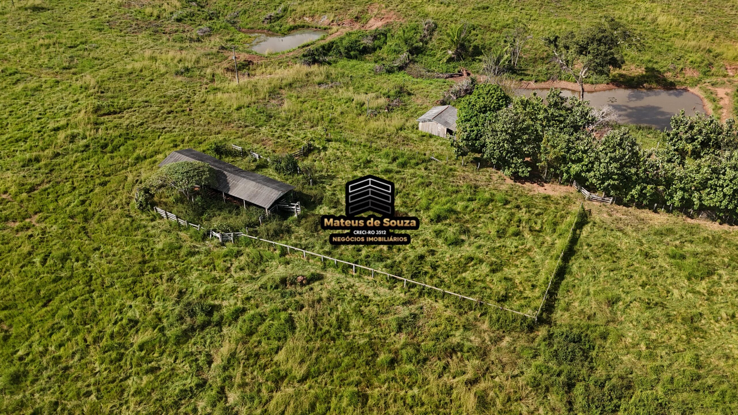 WhatsApp Image 2026-02-21 at 20.44.16 (2)