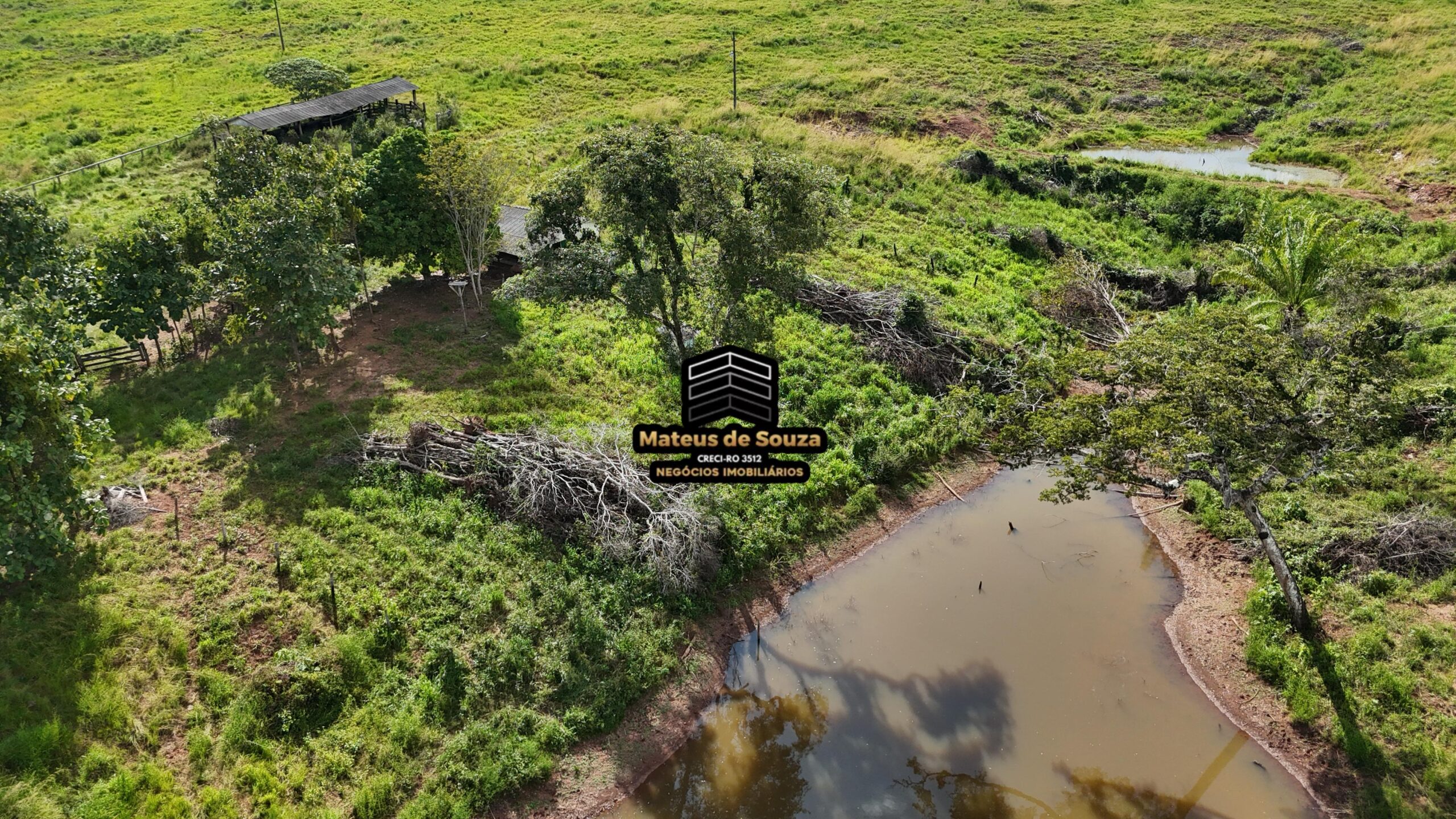 WhatsApp Image 2026-02-21 at 20.44.16