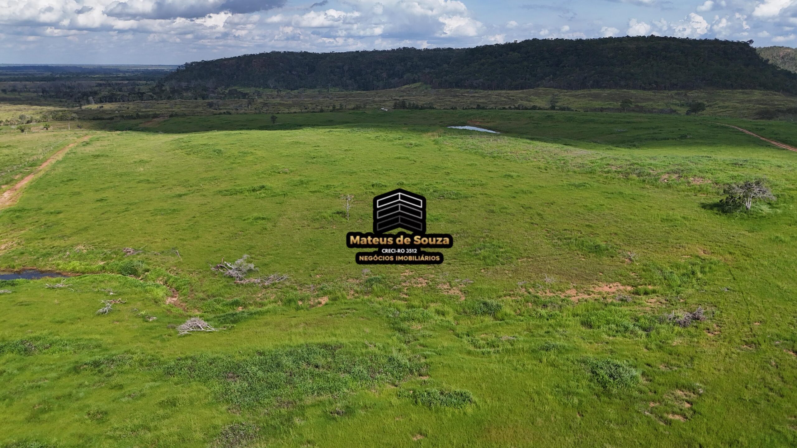 WhatsApp Image 2026-02-21 at 20.44.18