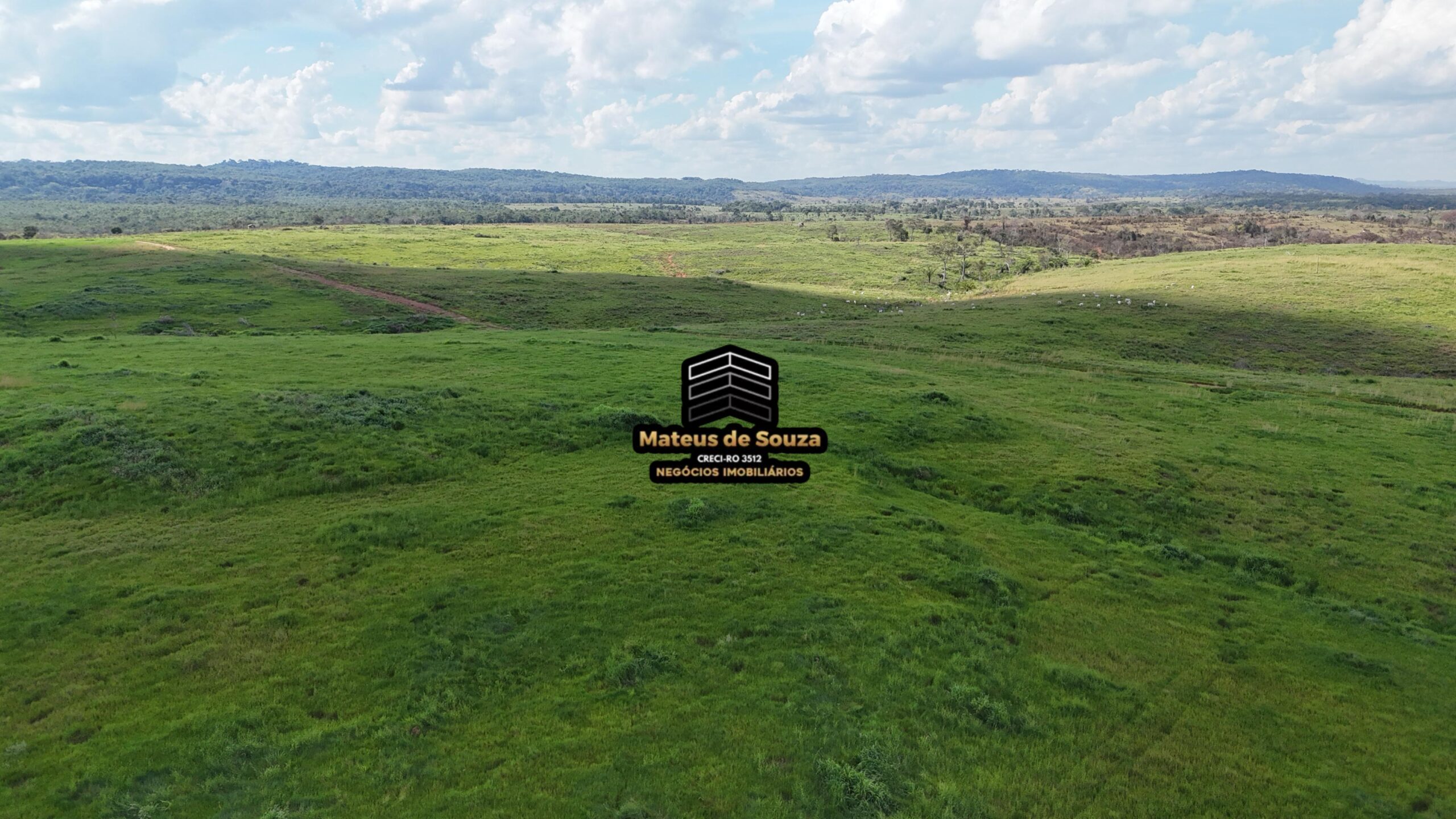 WhatsApp Image 2026-02-21 at 20.44.19 (1)