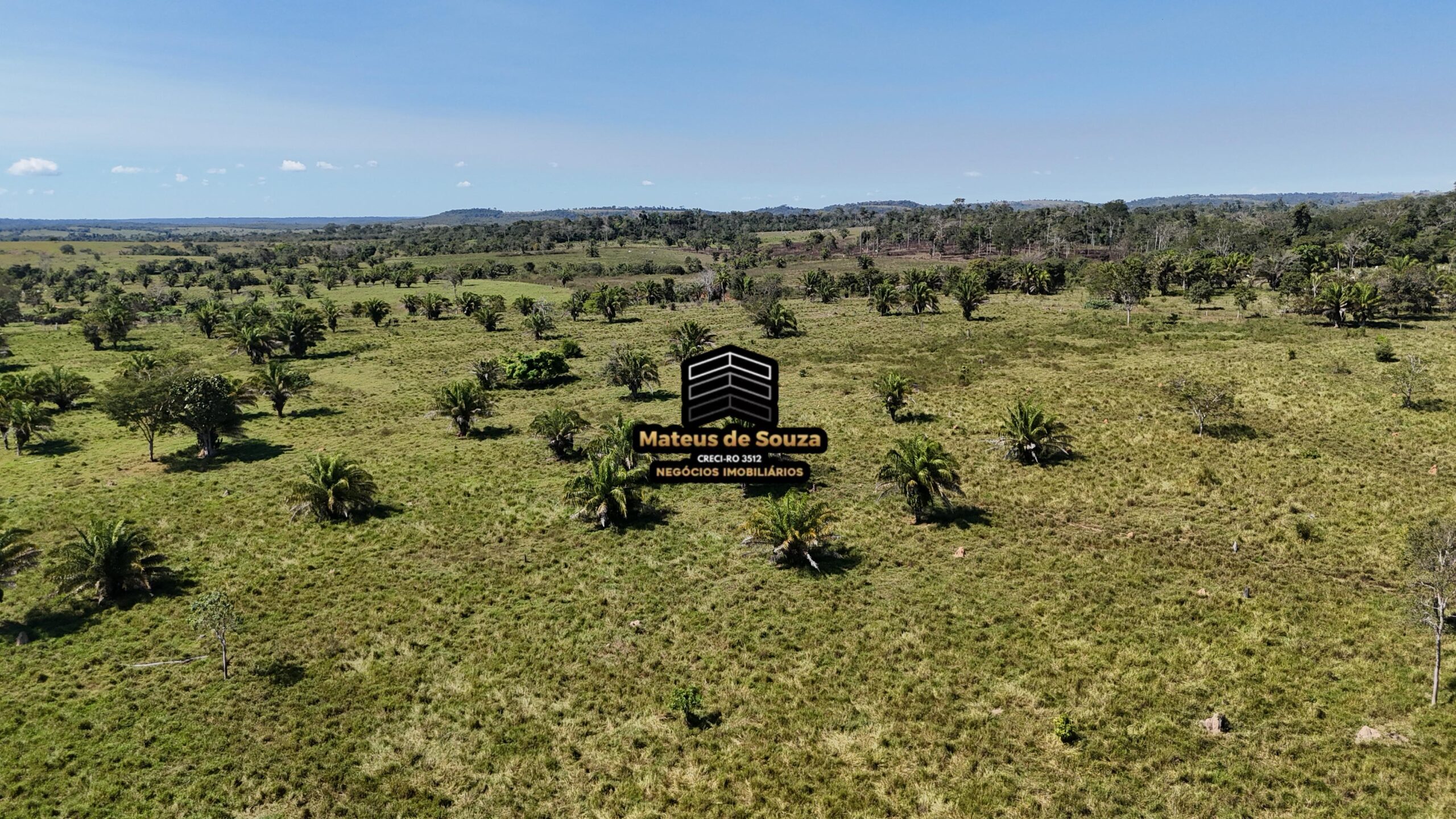 WhatsApp Image 2026-02-21 at 20.44.38 (1)