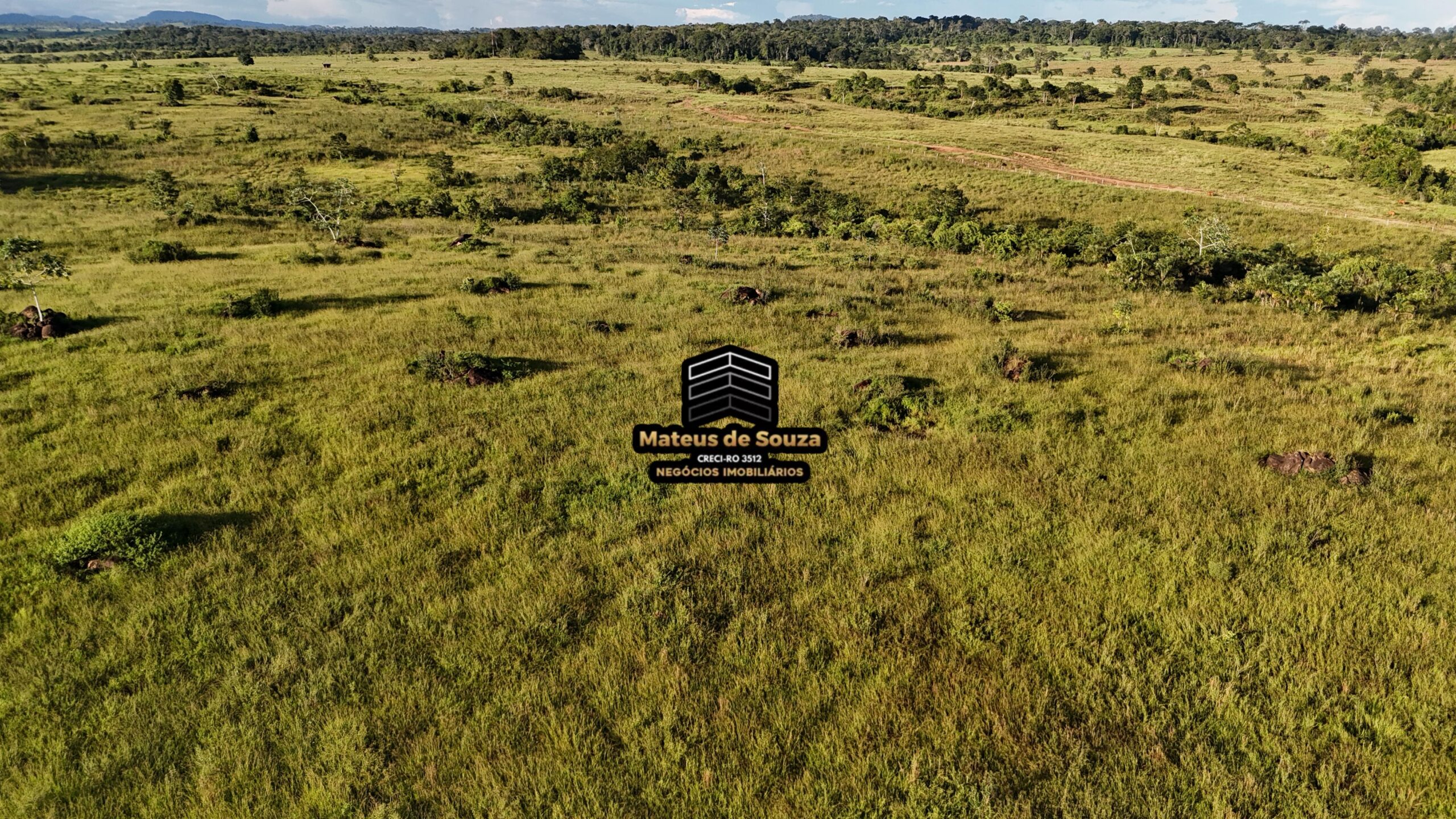 WhatsApp Image 2026-02-21 at 20.45.03