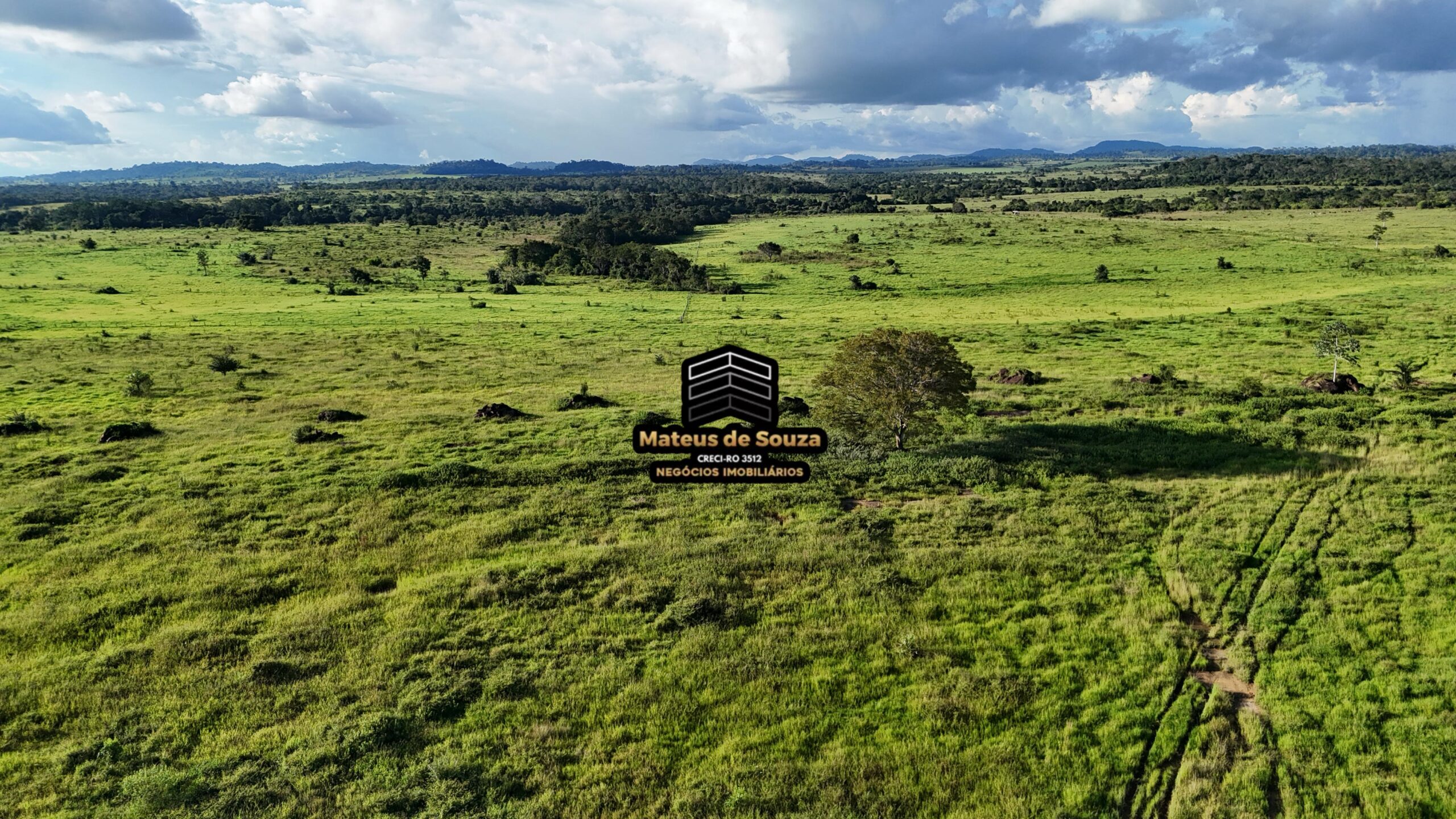 WhatsApp Image 2026-02-21 at 20.45.08