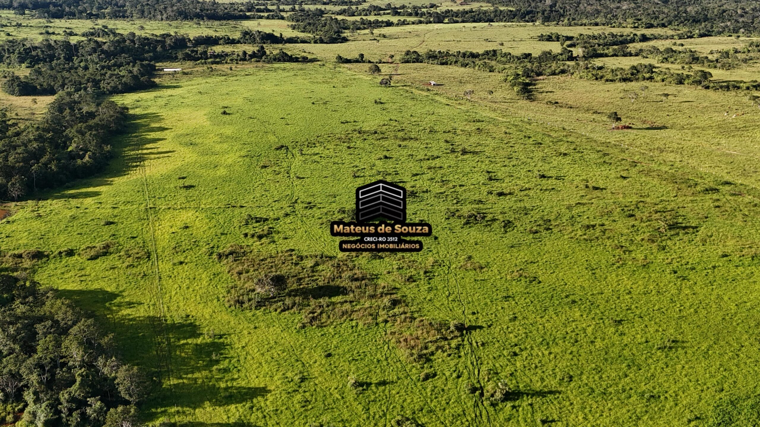 WhatsApp Image 2026-02-21 at 20.45.11 (1)