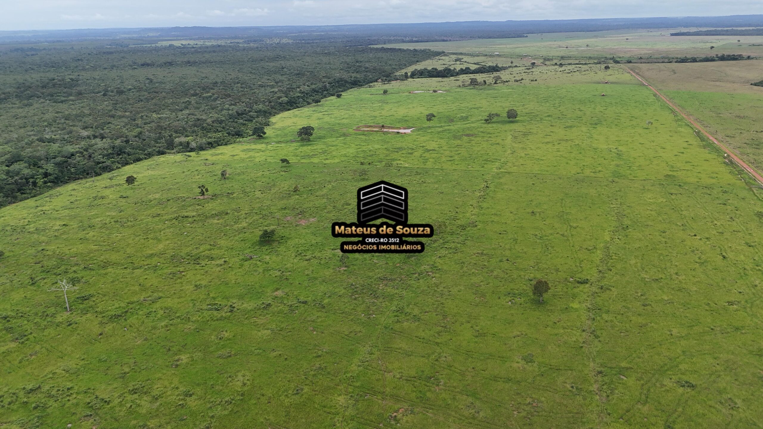 WhatsApp Image 2026-02-21 at 20.45.22