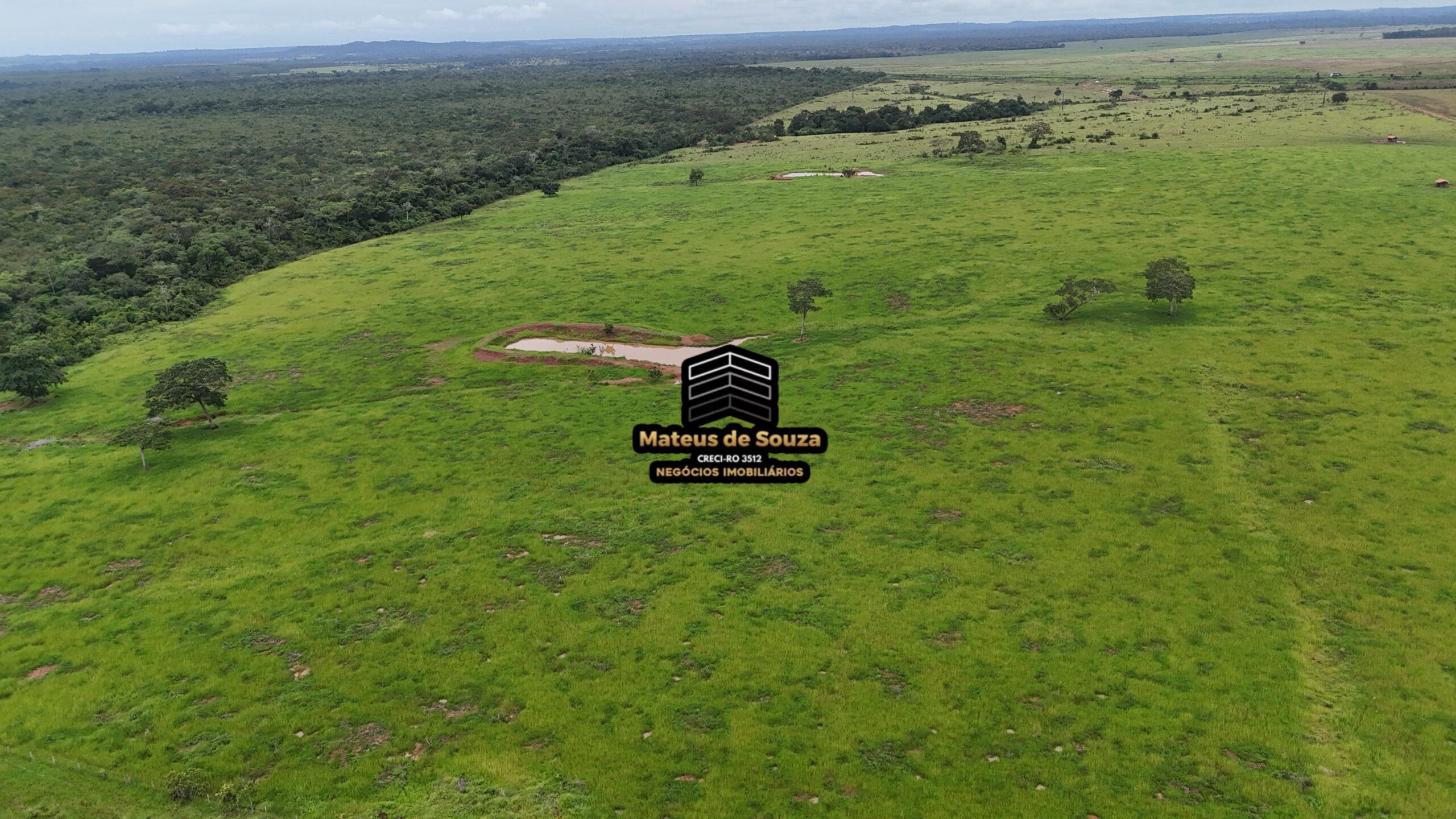 WhatsApp Image 2026-02-21 at 20.45.23