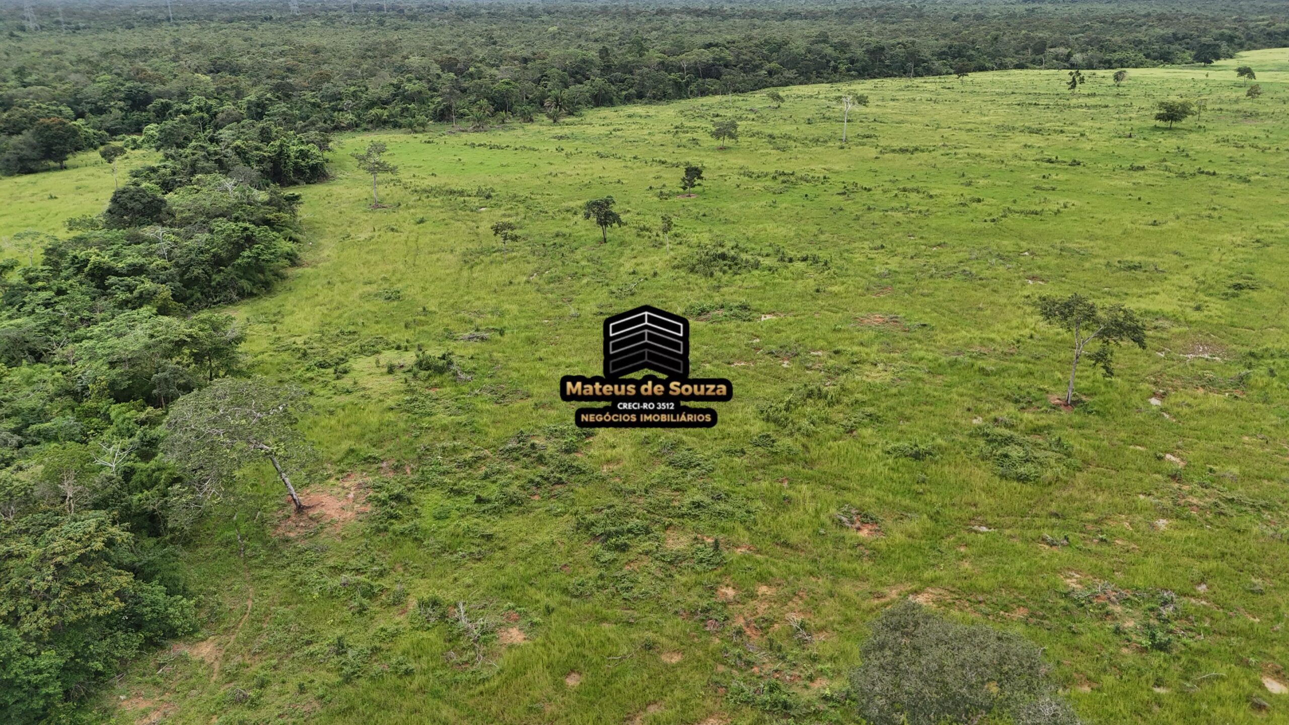 WhatsApp Image 2026-02-21 at 20.45.26