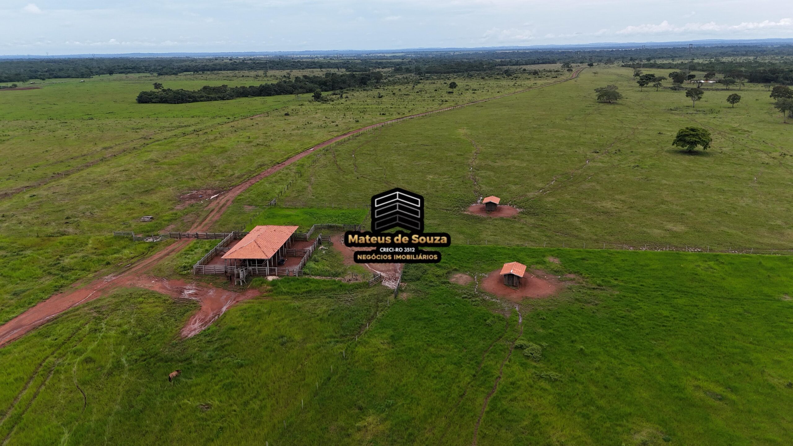 WhatsApp Image 2026-02-21 at 20.45.27