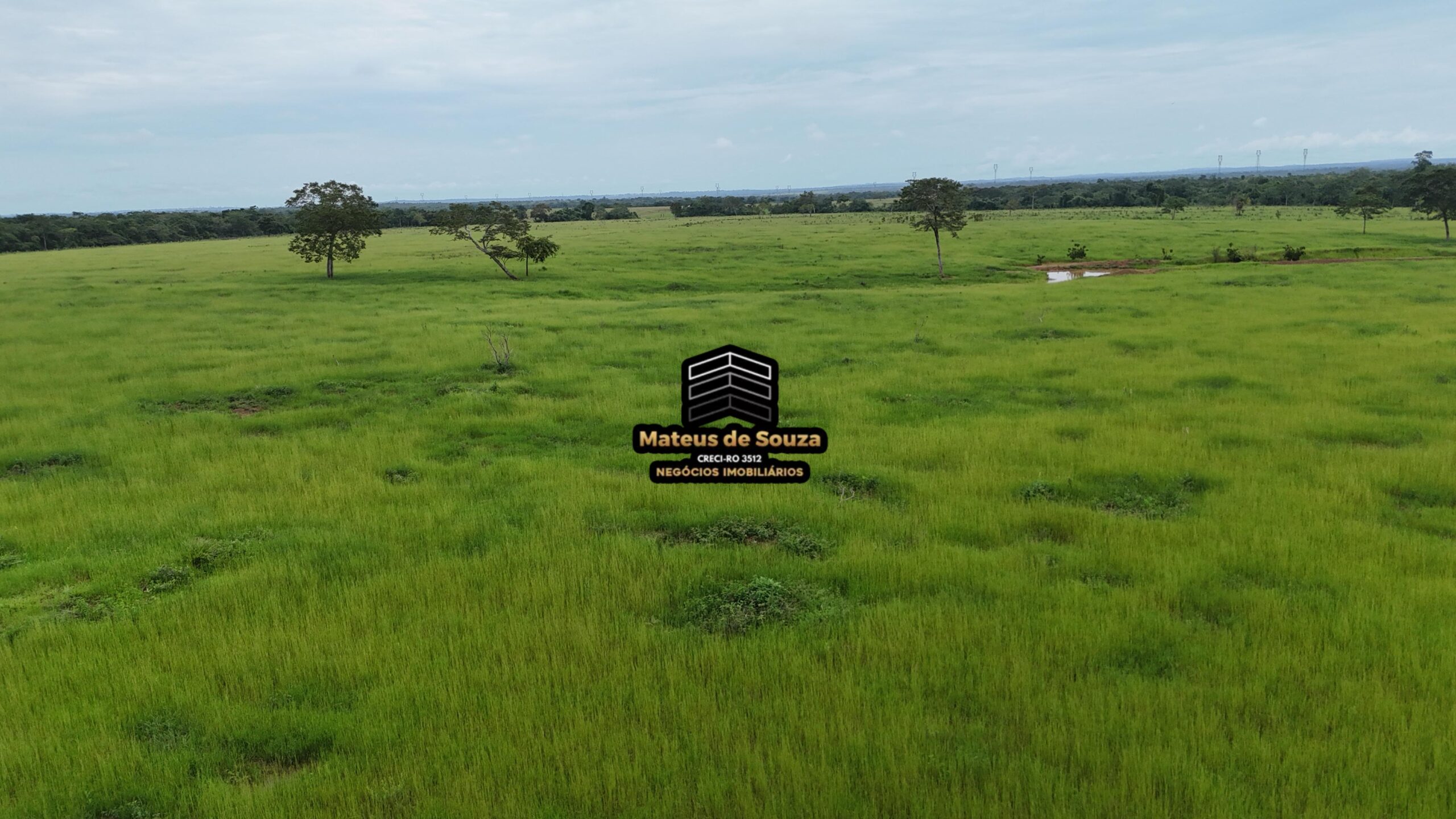 WhatsApp Image 2026-02-21 at 20.45.29 (1)