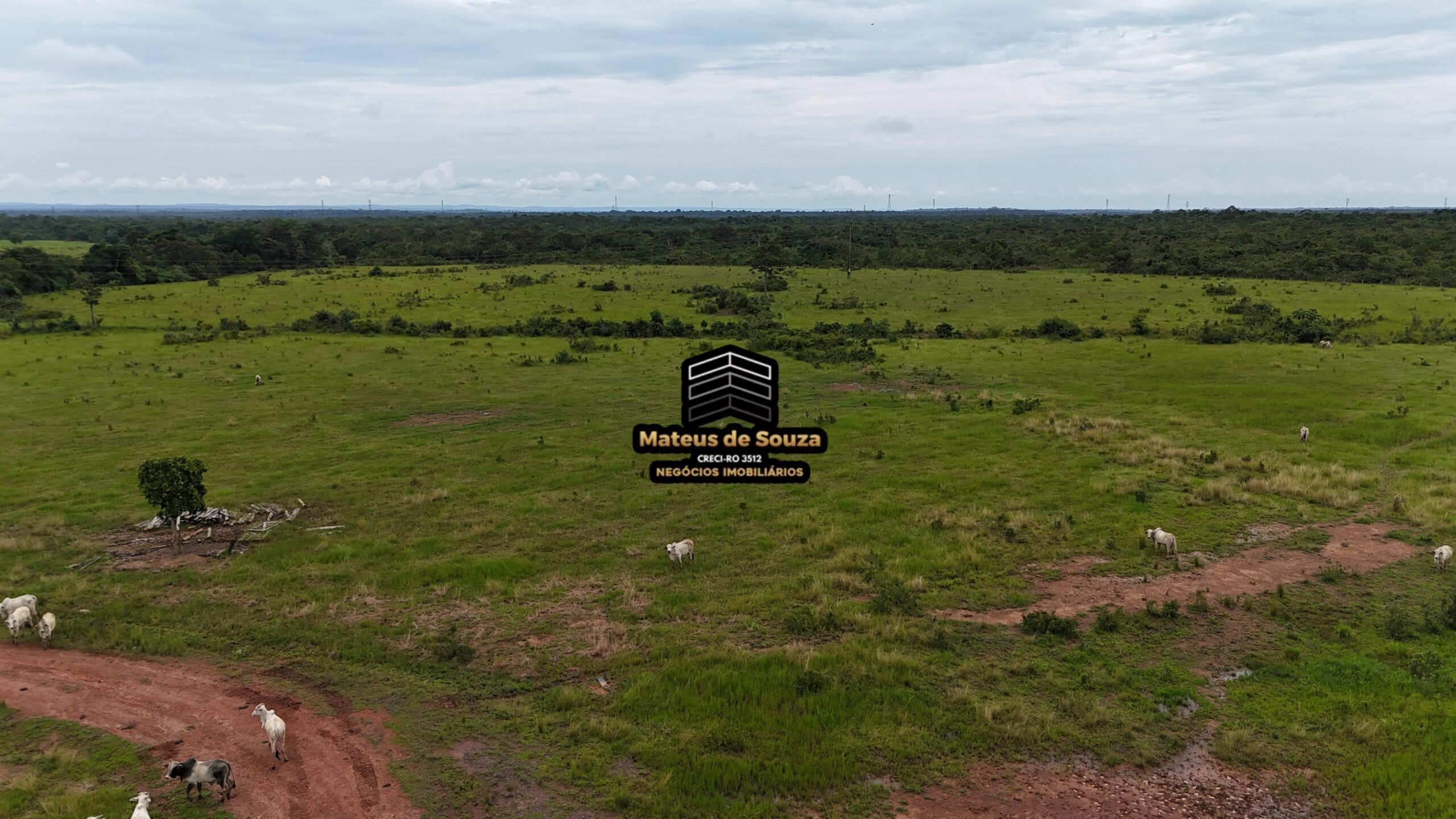 WhatsApp Image 2026-02-21 at 20.45.30 (1)