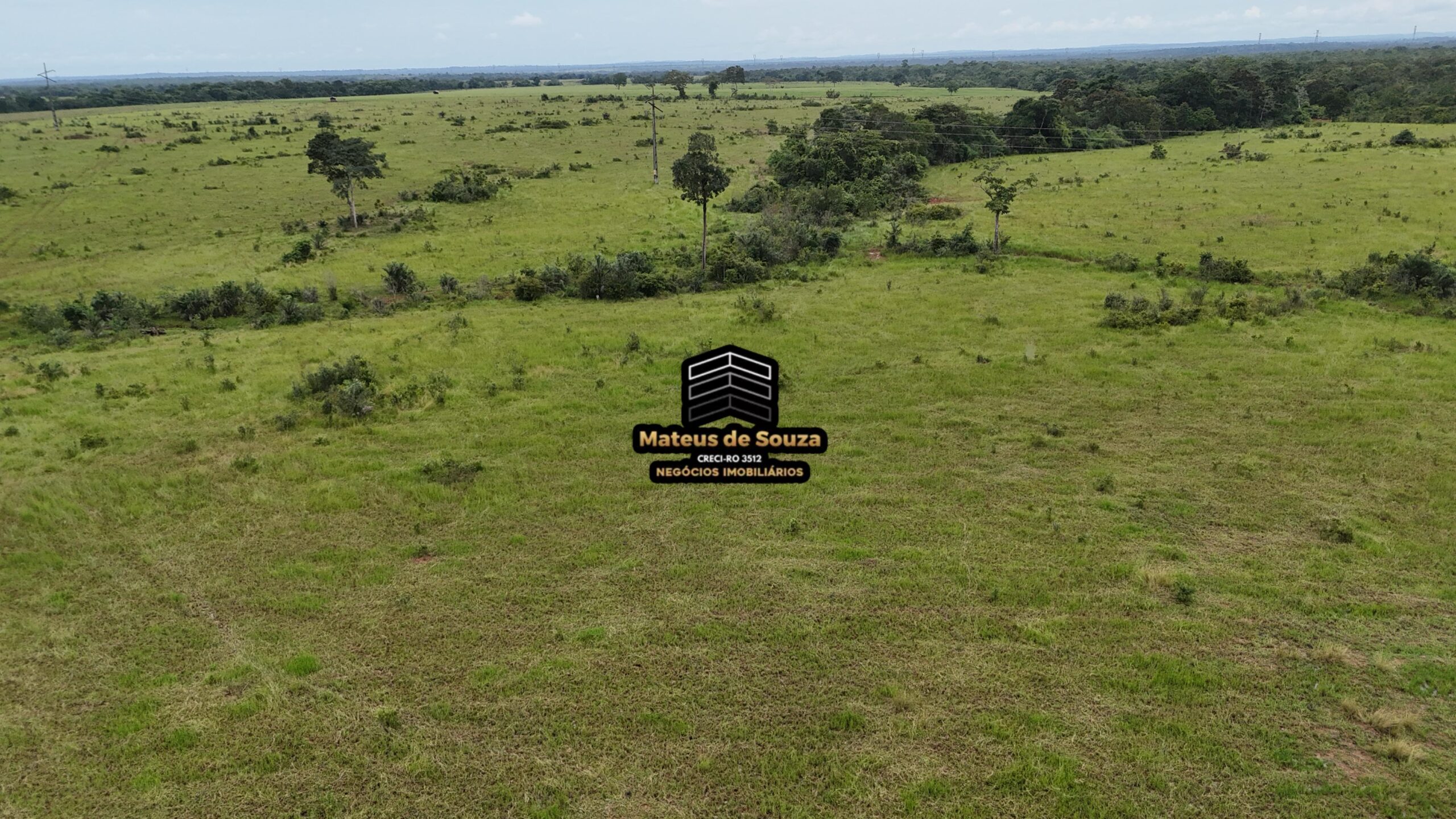 WhatsApp Image 2026-02-21 at 20.45.30