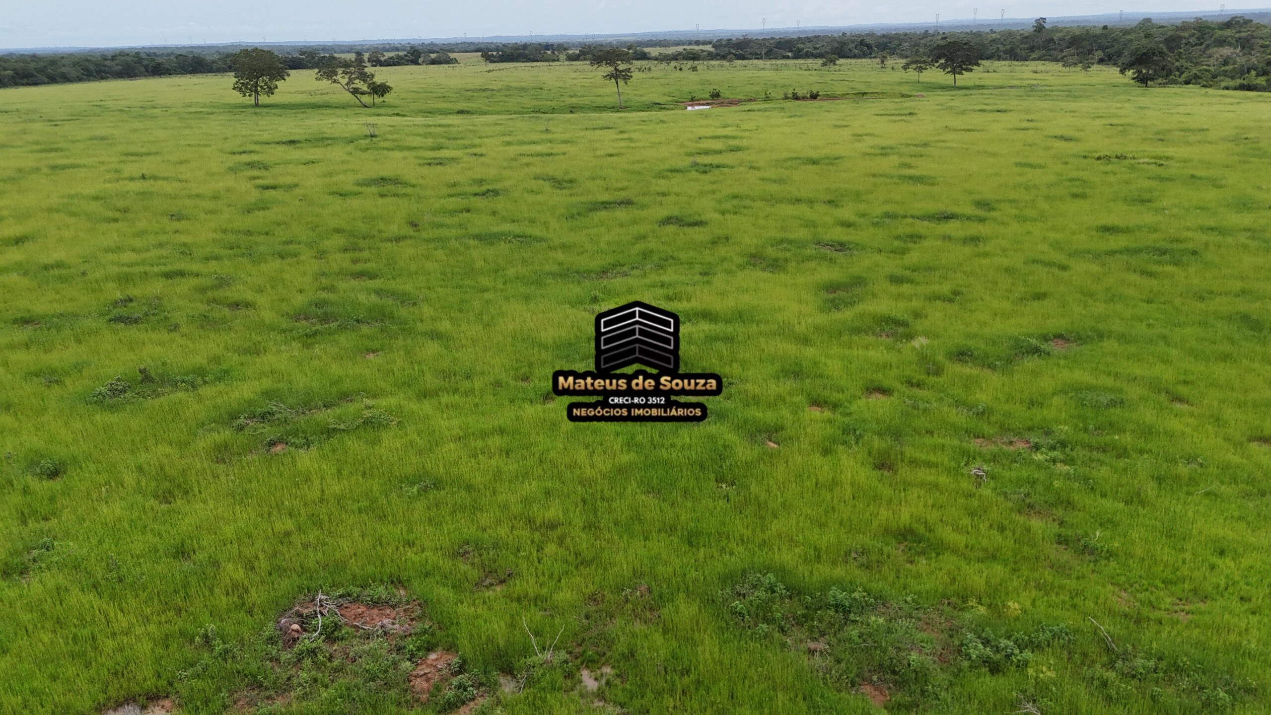 WhatsApp Image 2026-02-21 at 20.45.31 (2)