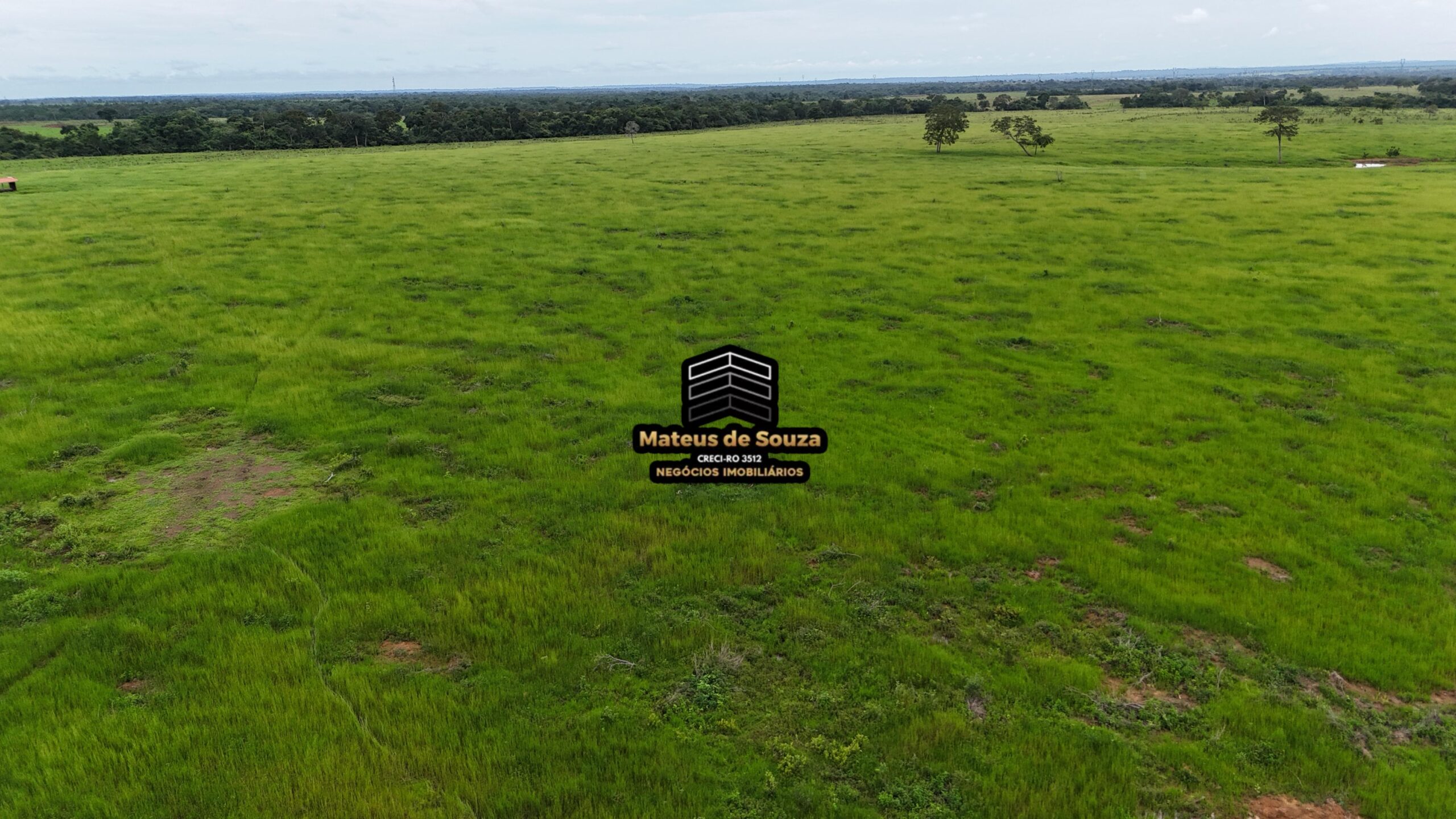 WhatsApp Image 2026-02-21 at 20.45.31