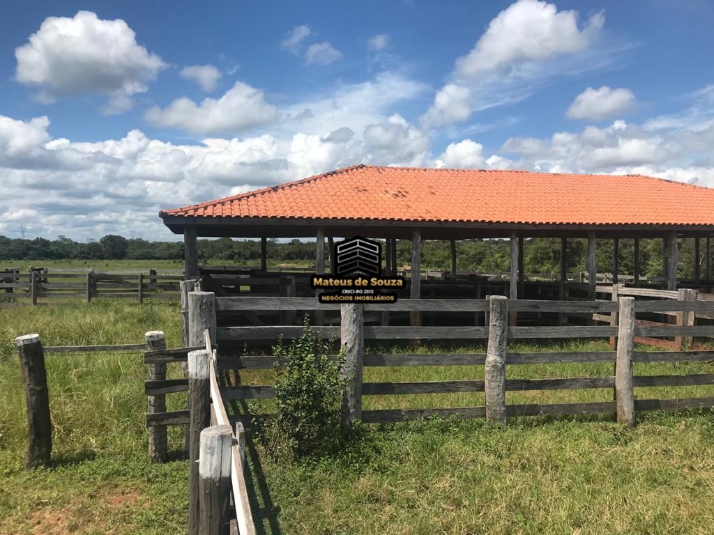 WhatsApp Image 2026-02-21 at 20.45.34 (1)