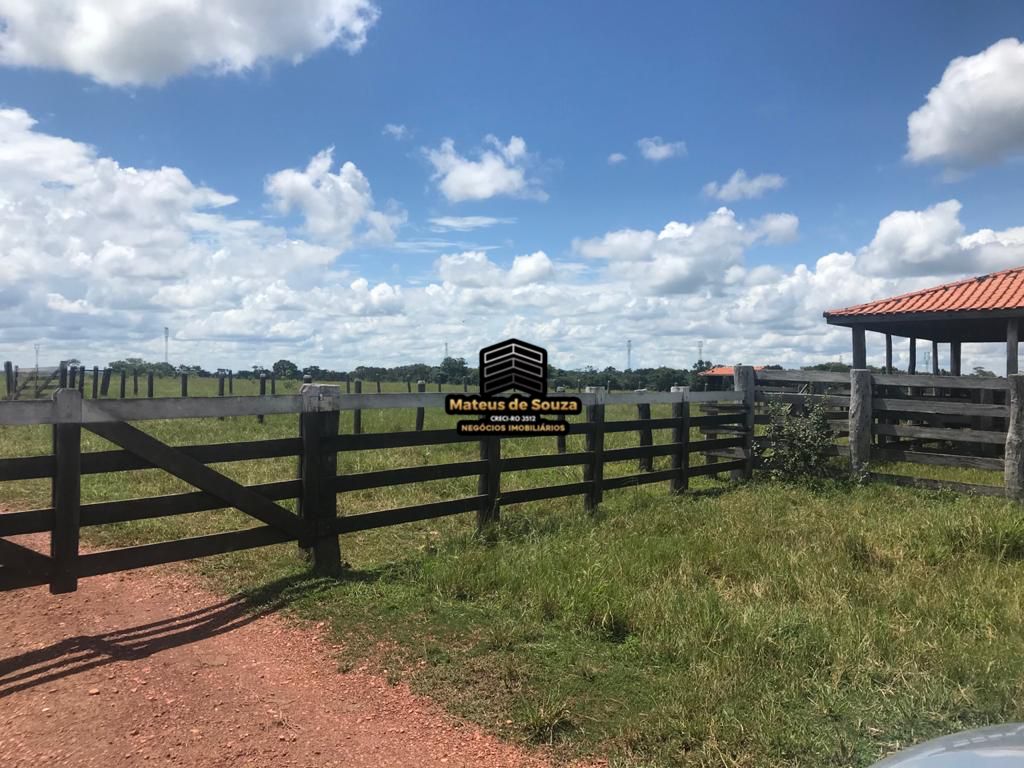 WhatsApp Image 2026-02-21 at 20.45.34