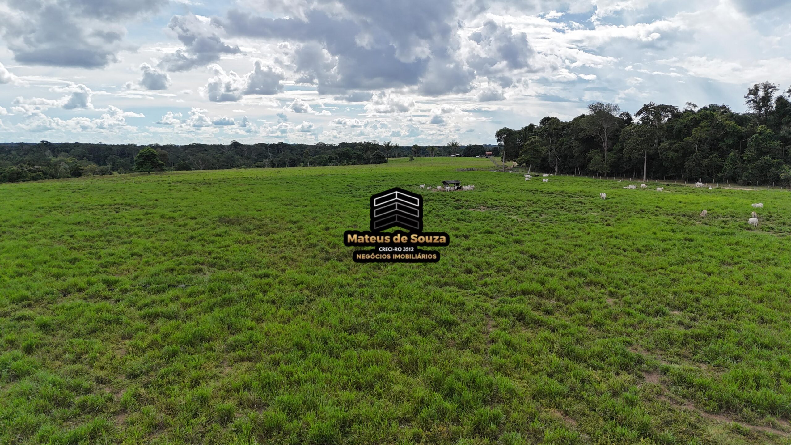 WhatsApp Image 2026-02-21 at 20.45.51