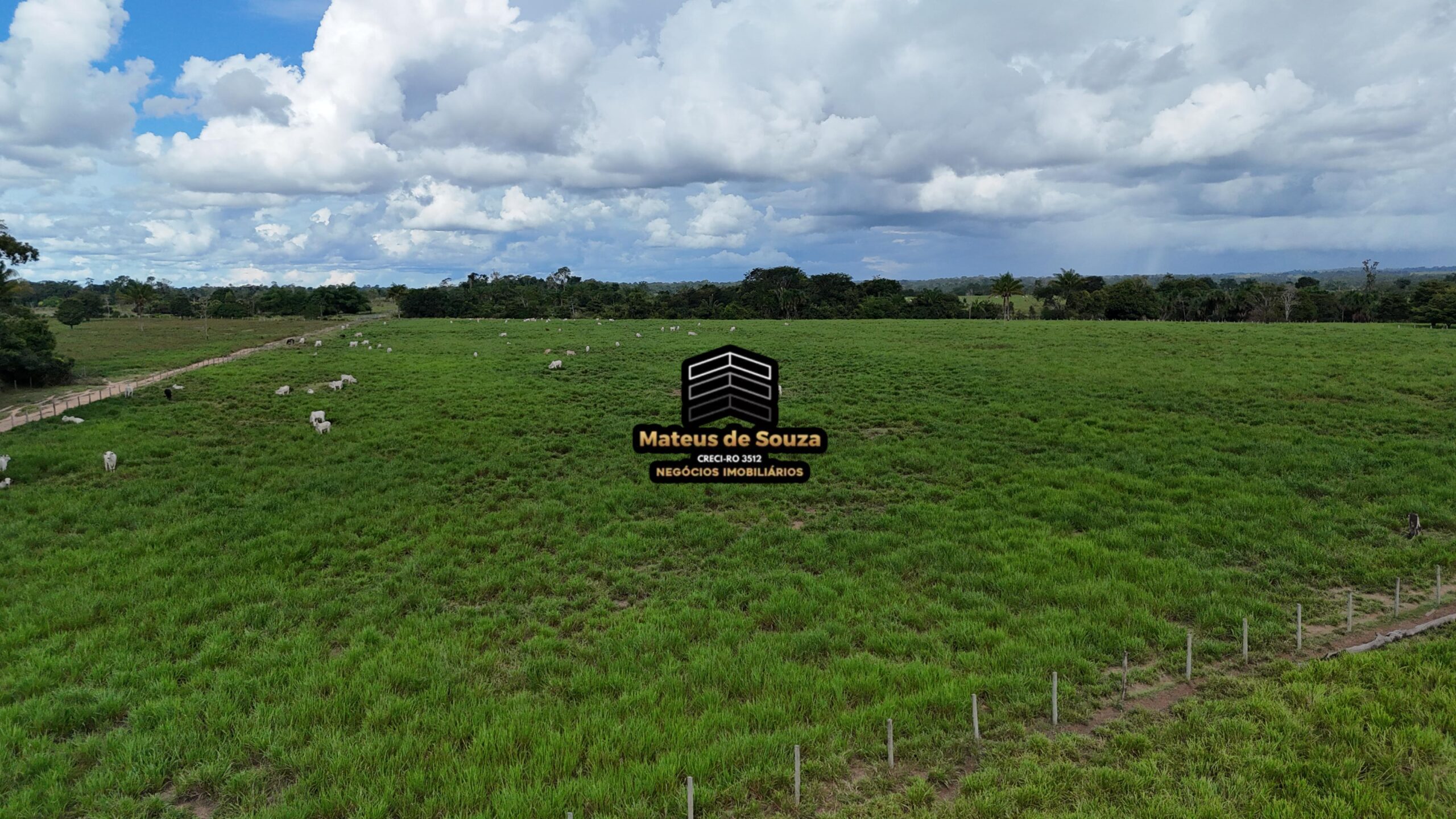 WhatsApp Image 2026-02-21 at 20.45.52 (1)