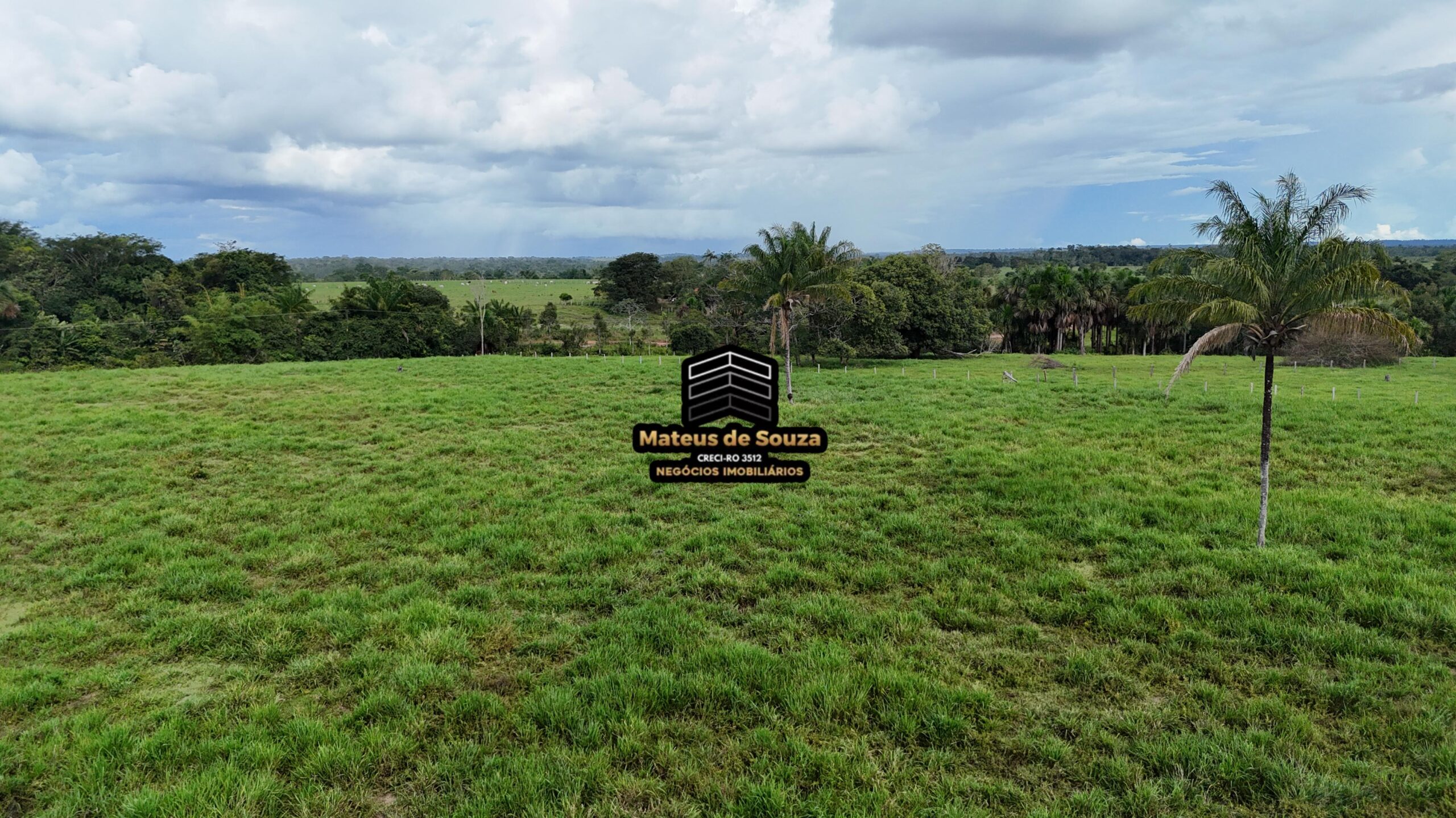 WhatsApp Image 2026-02-21 at 20.45.52