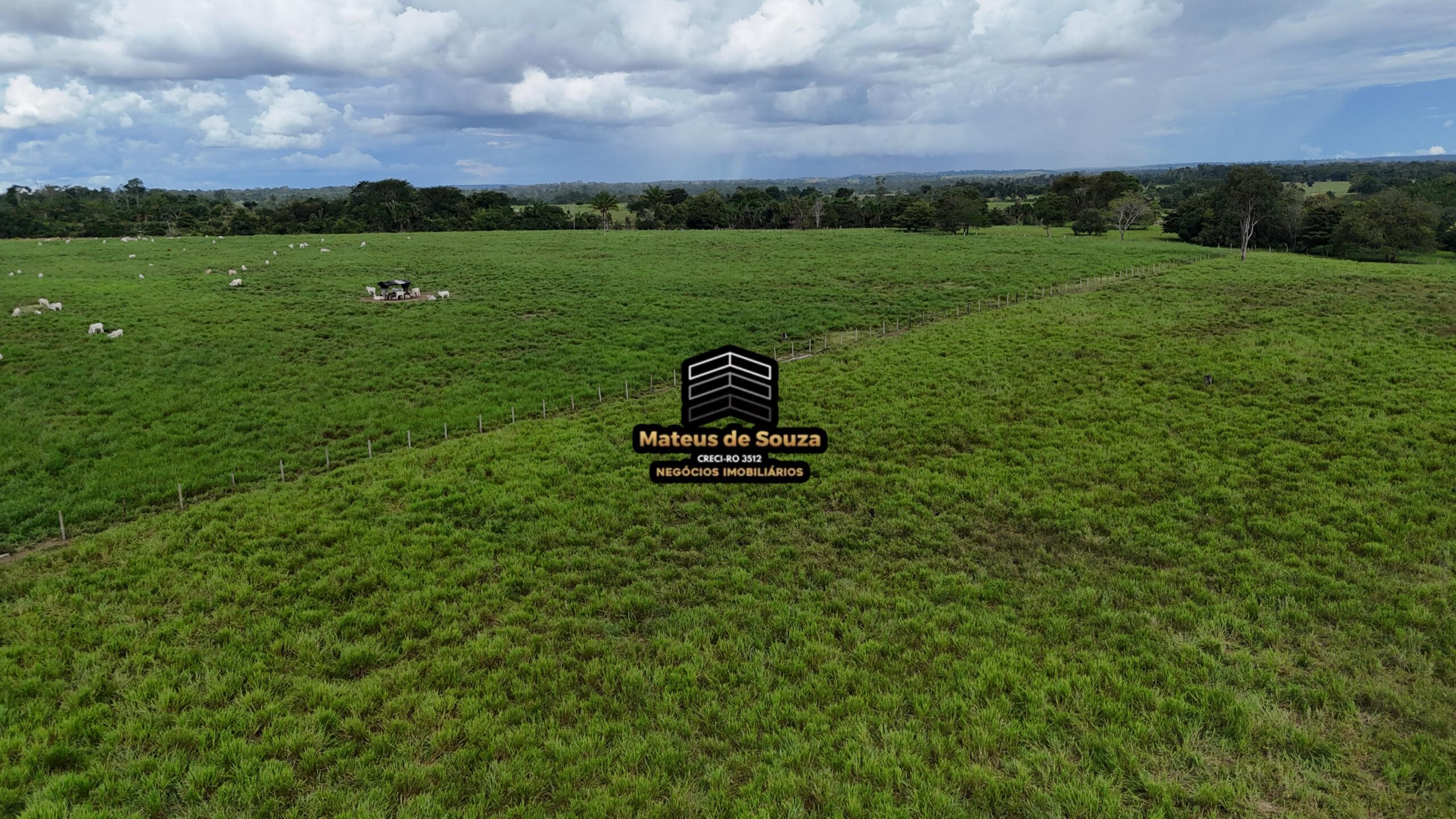 WhatsApp Image 2026-02-21 at 20.45.53