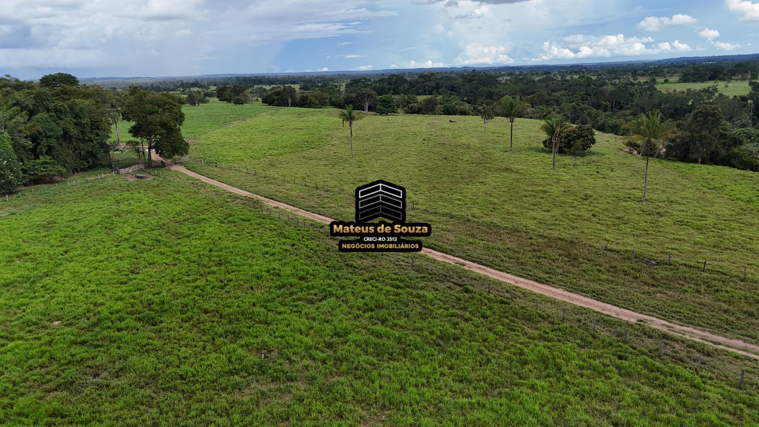 WhatsApp Image 2026-02-21 at 20.45.54