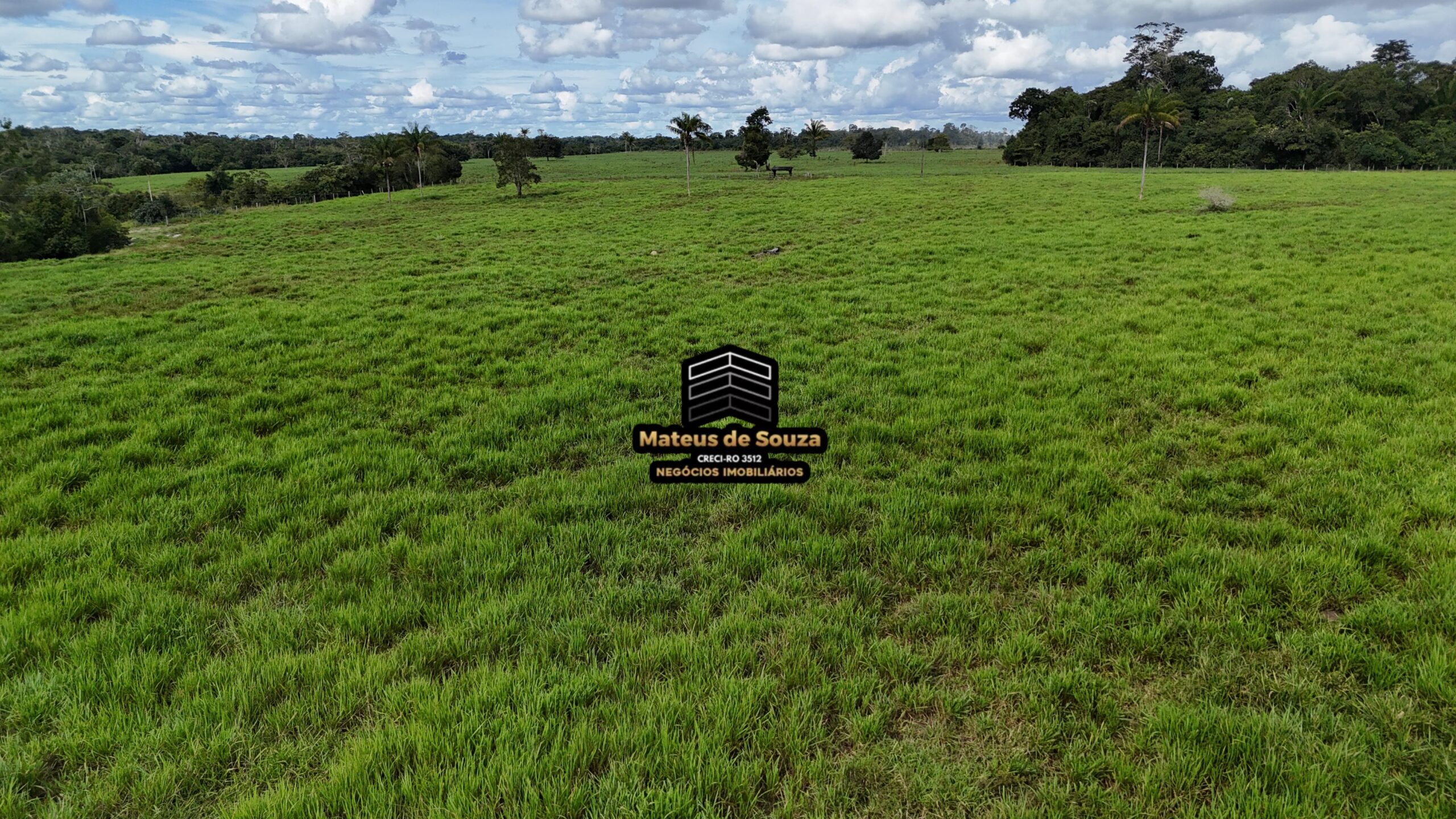 WhatsApp Image 2026-02-21 at 20.45.55 (1)