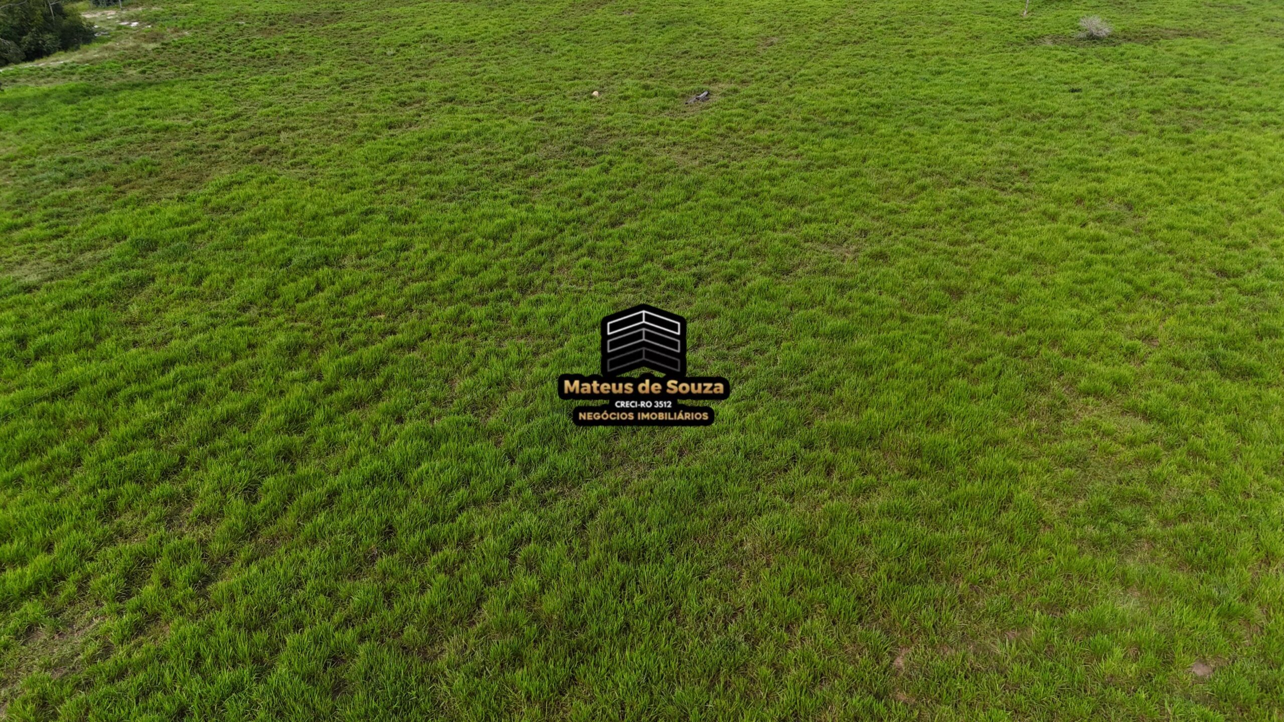 WhatsApp Image 2026-02-21 at 20.45.55