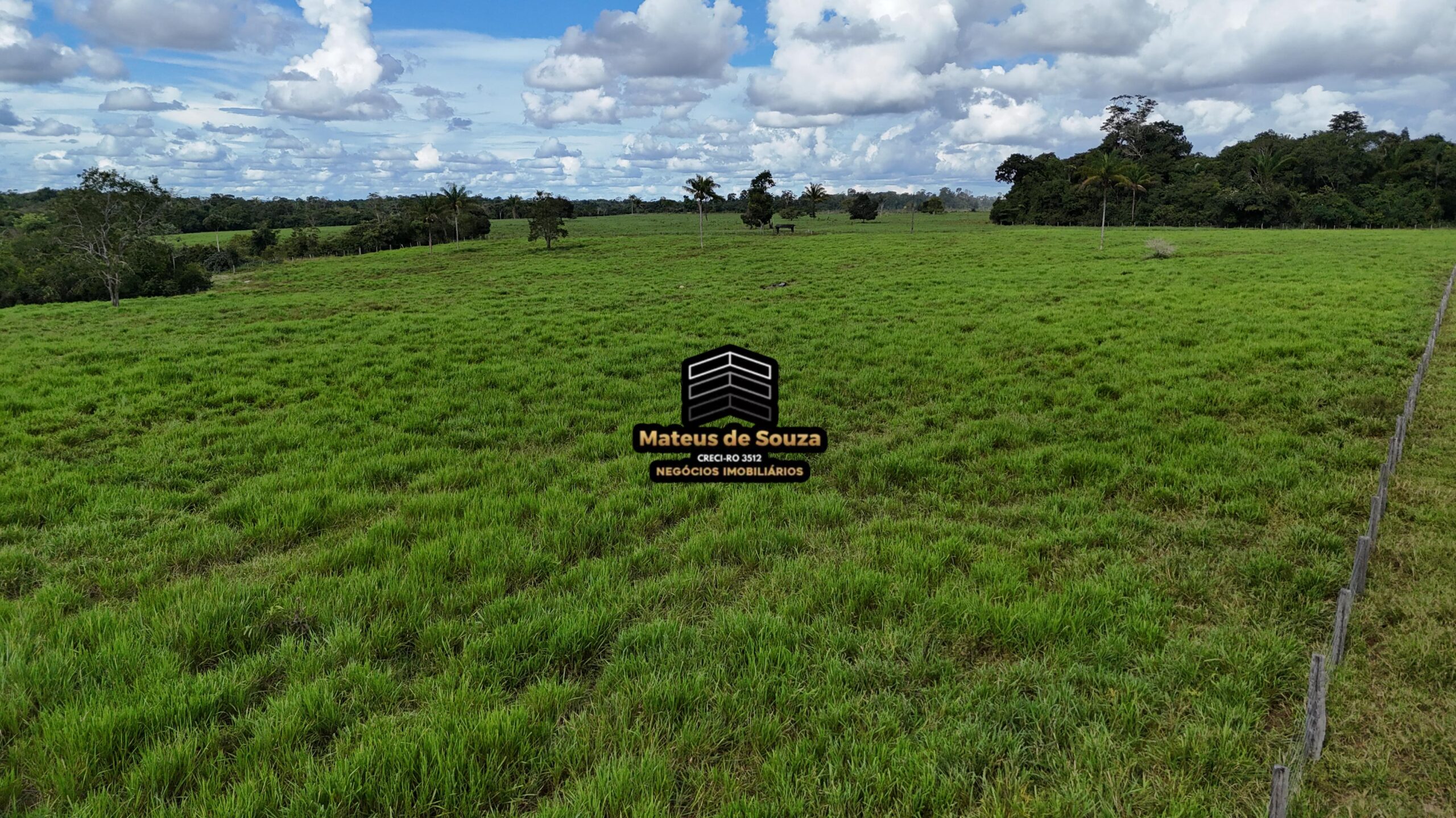 WhatsApp Image 2026-02-21 at 20.45.56